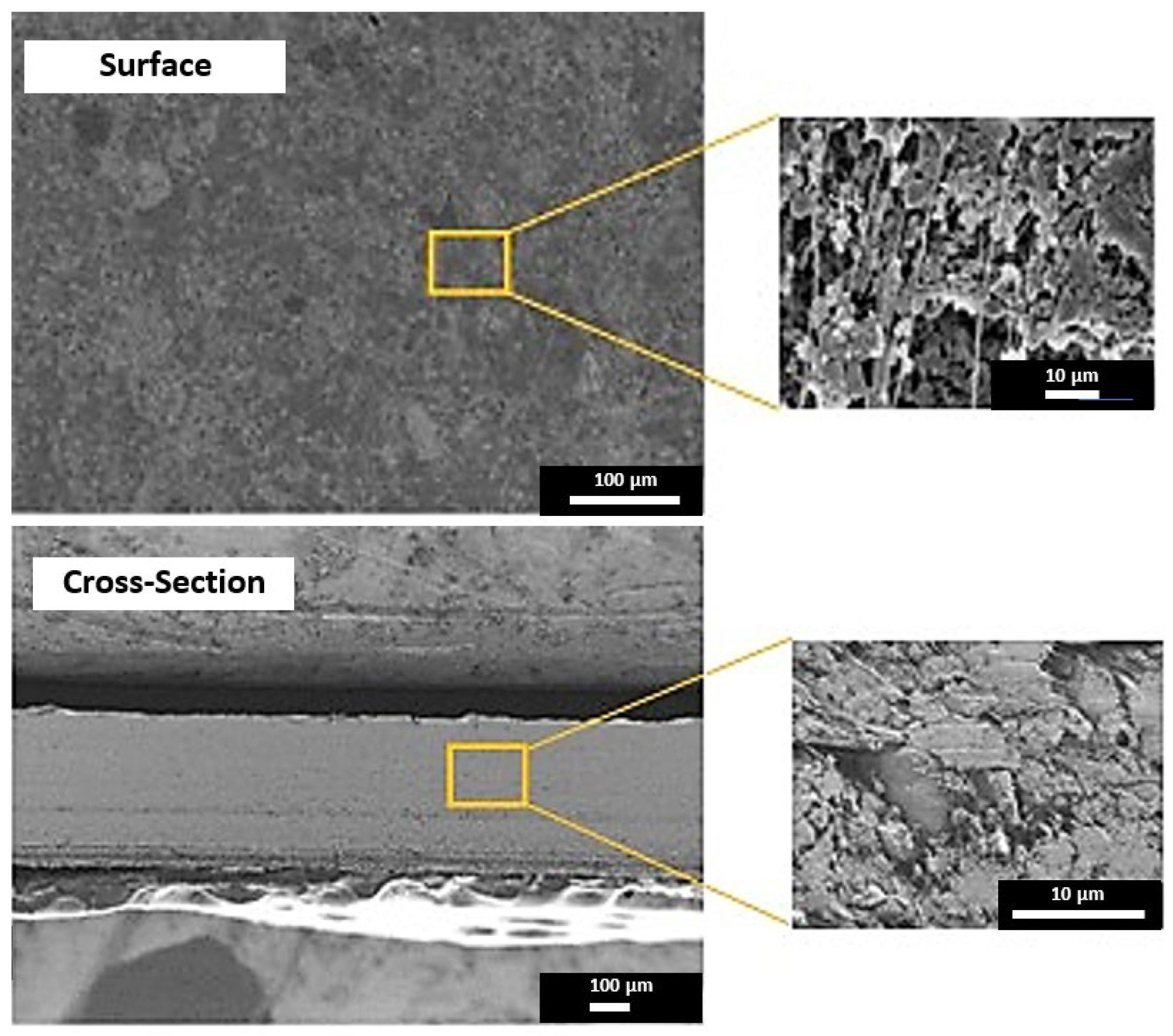 Membranes 13 00252 g004 Membranes 13 00252 g004