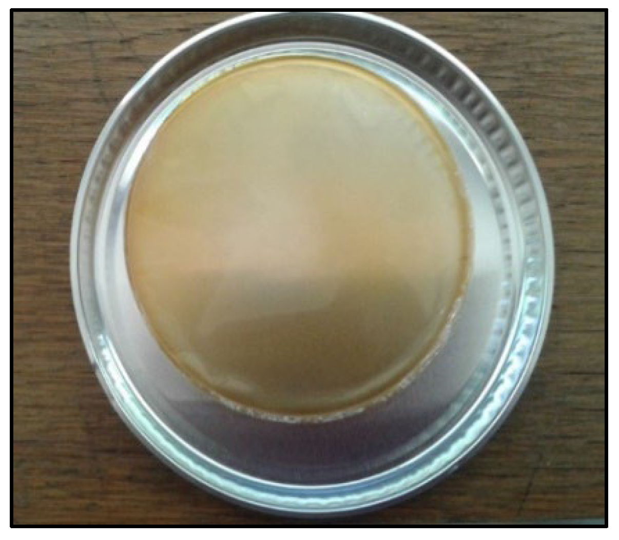 Membranes 13 00252 g009 Membranes 13 00252 g009