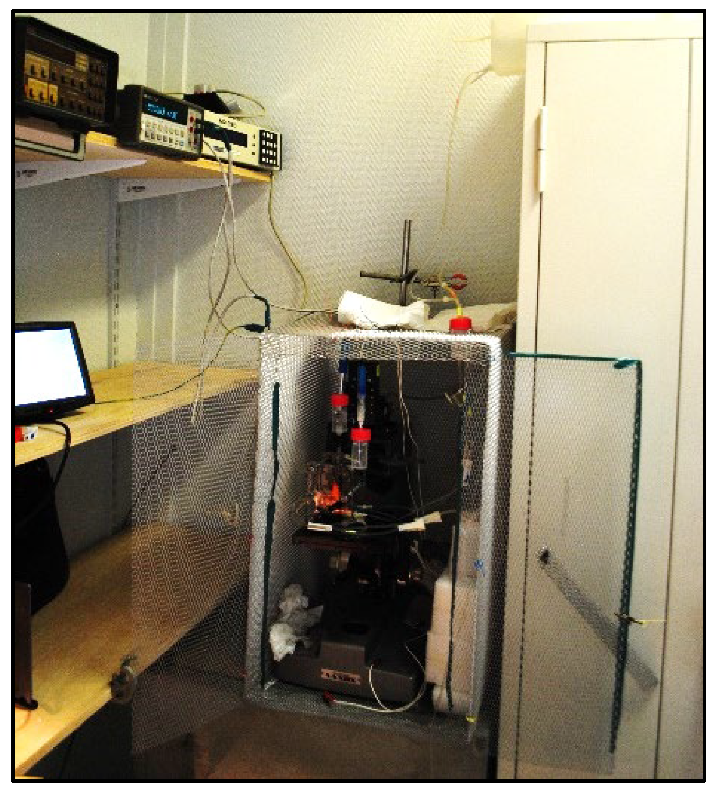 Membranes 13 00252 g014 Membranes 13 00252 g014