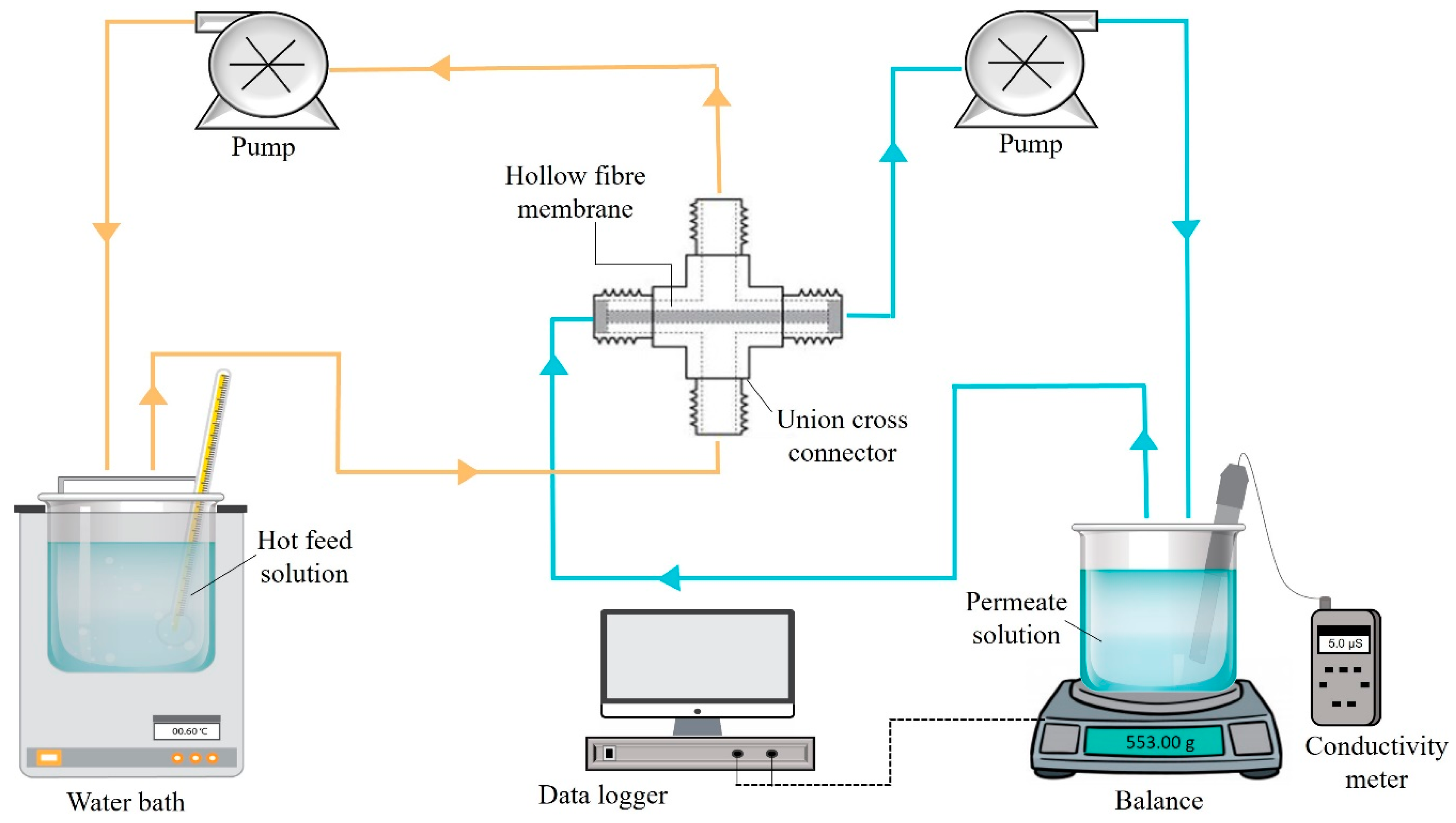 Membranes 13 00253 g002 Membranes 13 00253 g002