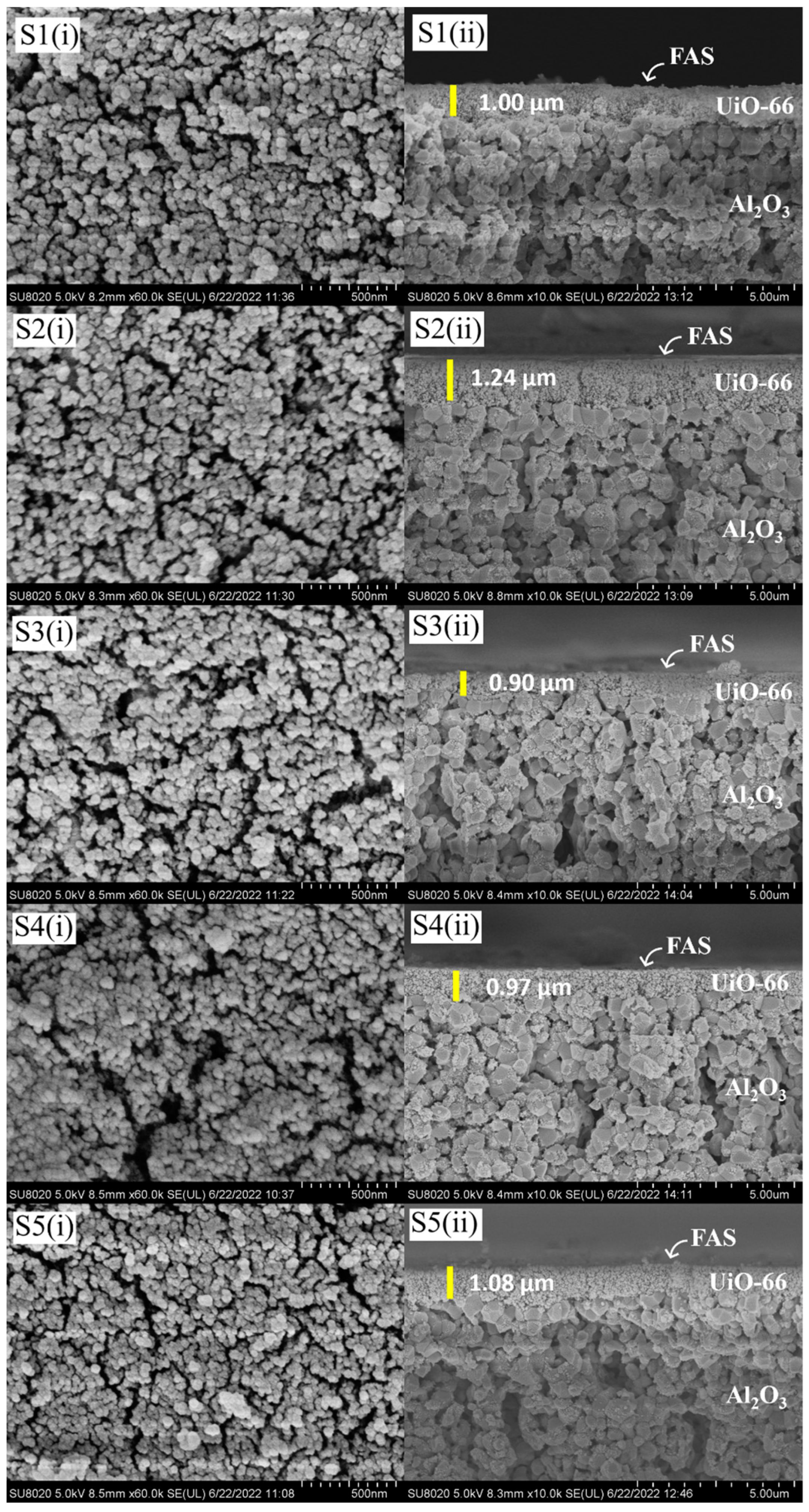 Membranes 13 00253 g004 Membranes 13 00253 g004