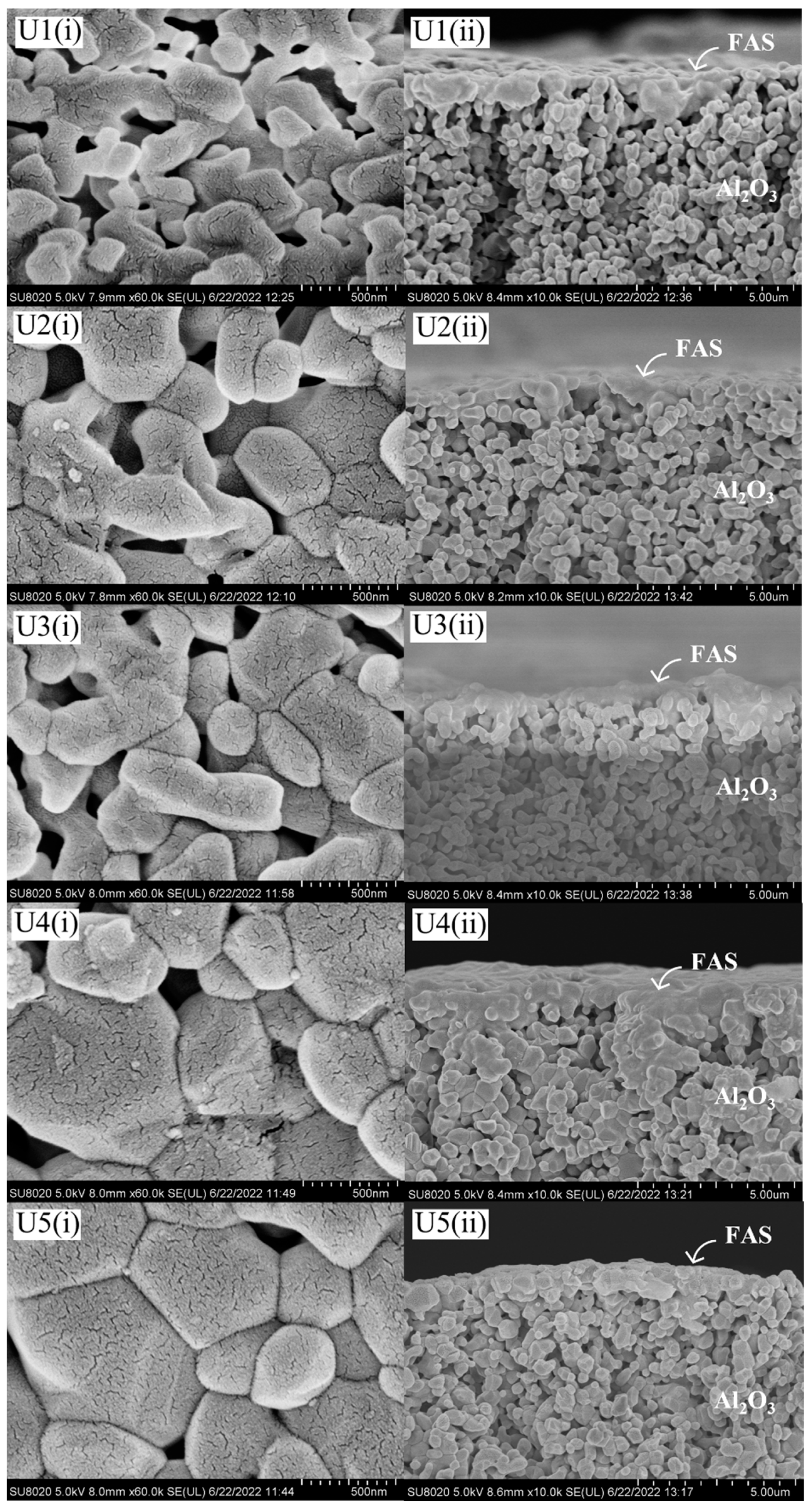 Membranes 13 00253 g005 Membranes 13 00253 g005