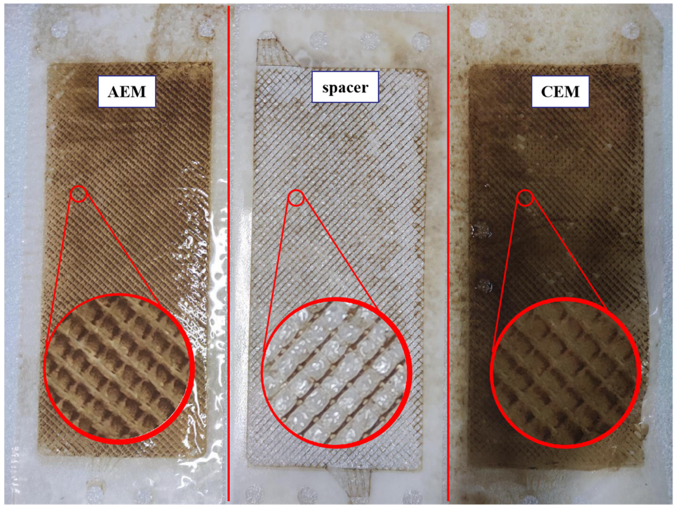 Membranes 13 00256 g009