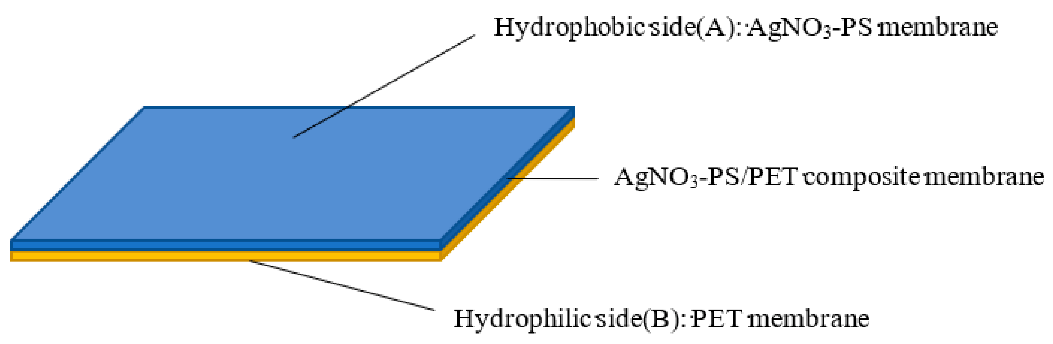 Membranes 13 00257 g002