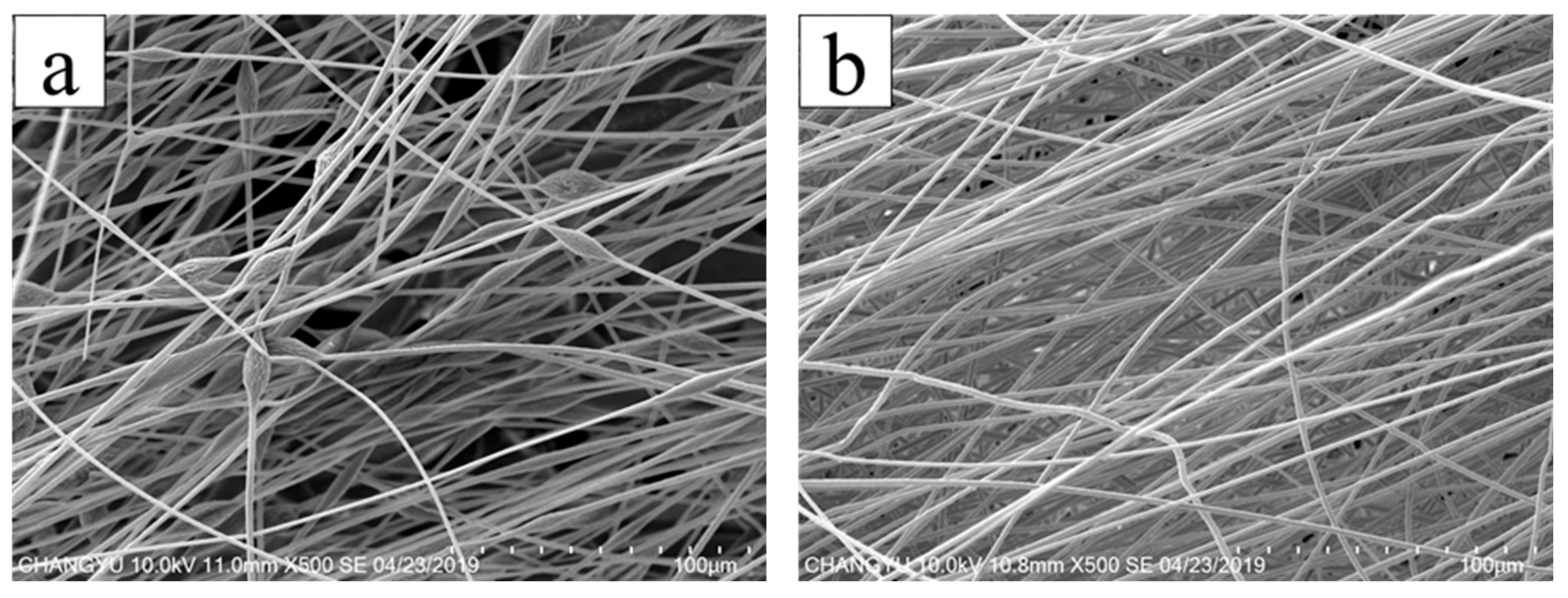 Membranes 13 00257 g006a