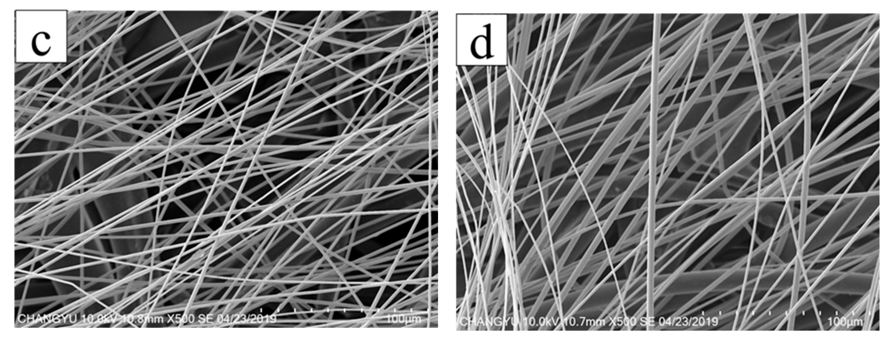 Membranes 13 00257 g006b