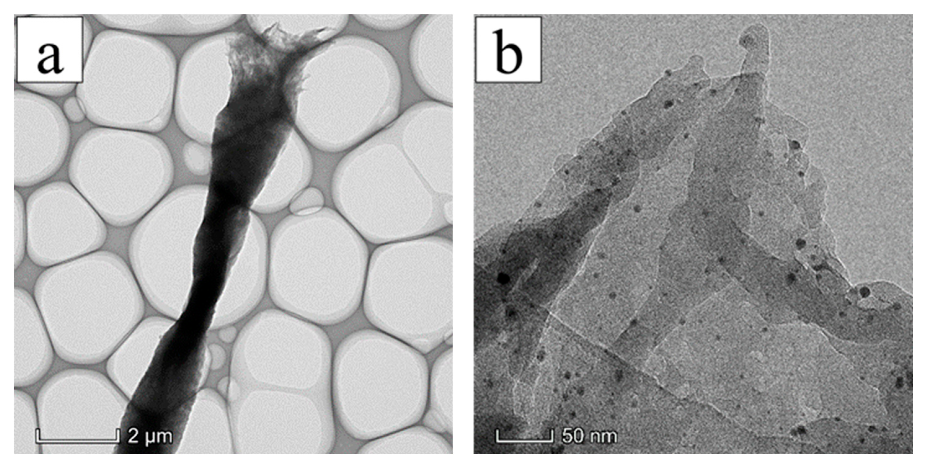 Membranes 13 00257 g008