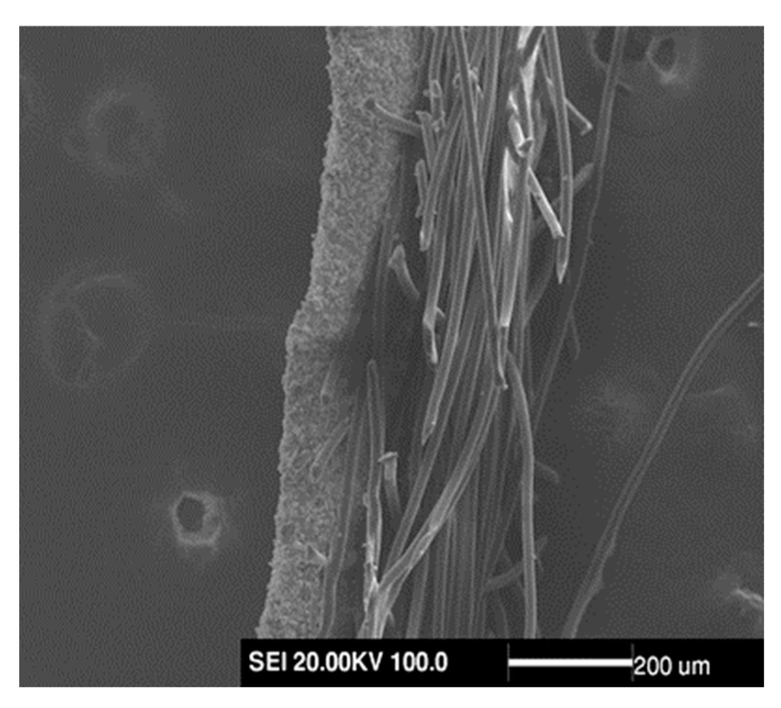 Membranes 13 00257 g010