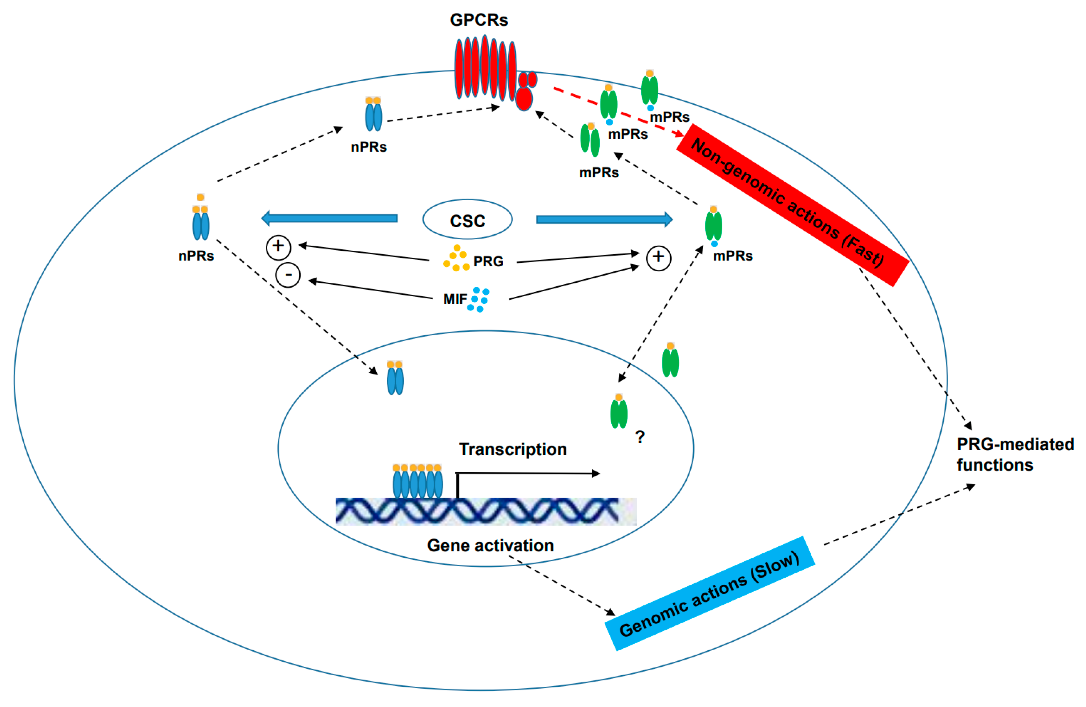 Membranes 13 00260 g001 Membranes 13 00260 g001