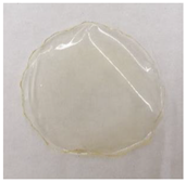 Membranes 13 00261 i001