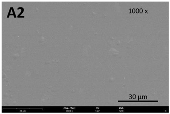Membranes 13 00261 i005