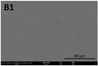 Membranes 13 00261 i006