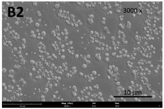 Membranes 13 00261 i007