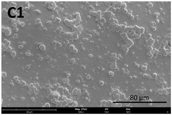 Membranes 13 00261 i008