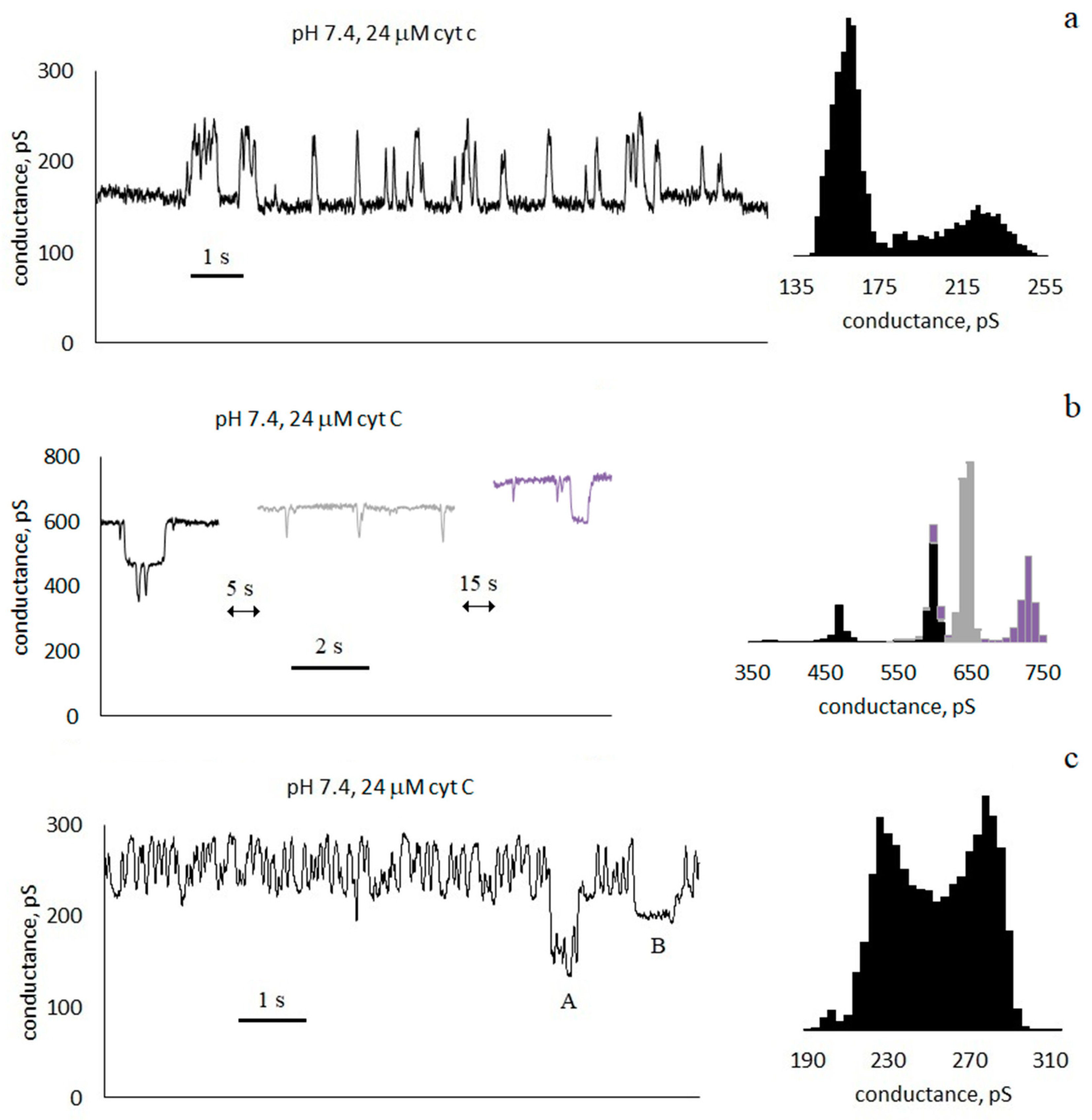 Membranes 13 00268 g003 Membranes 13 00268 g003