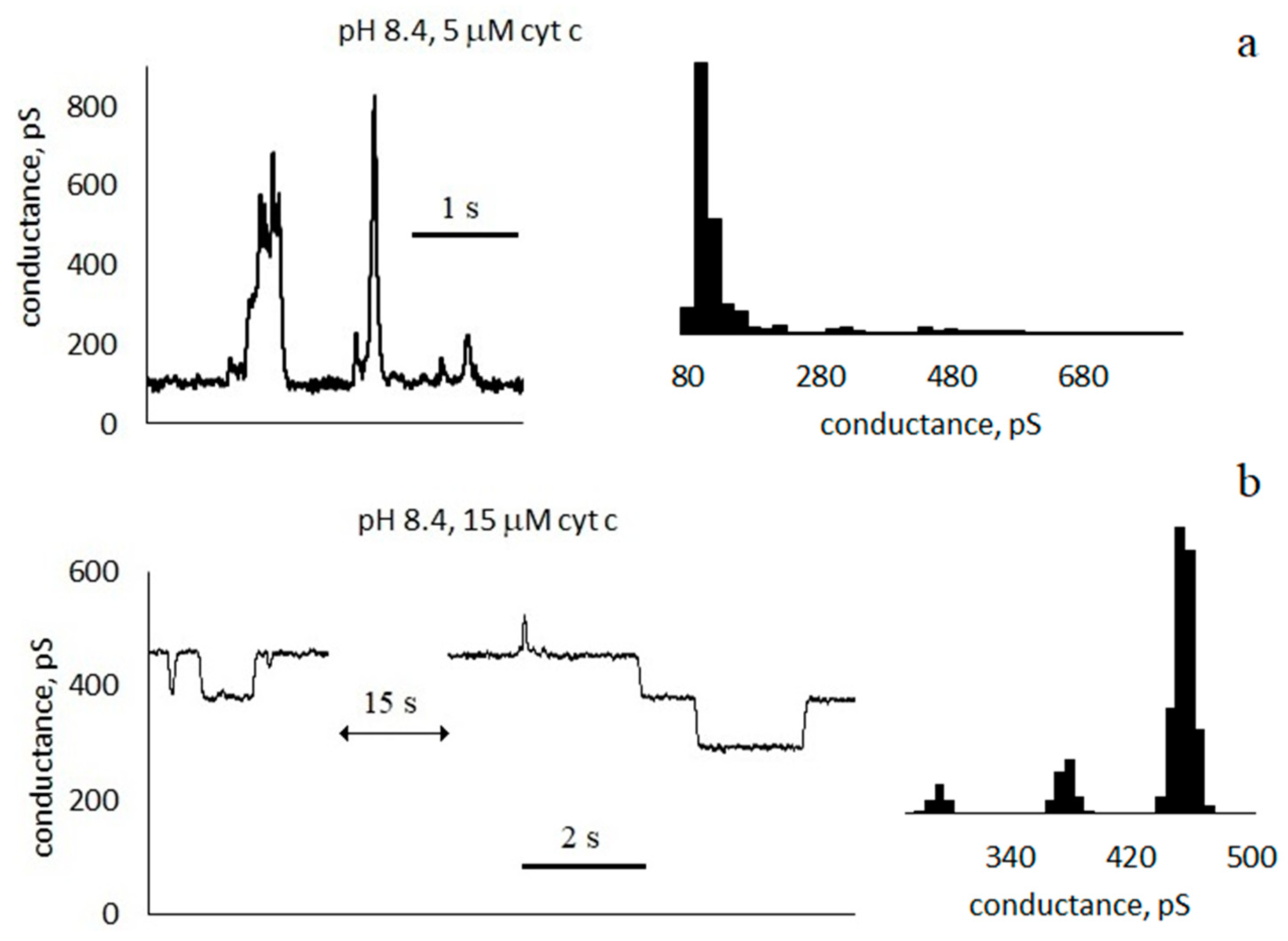 Membranes 13 00268 g004 Membranes 13 00268 g004