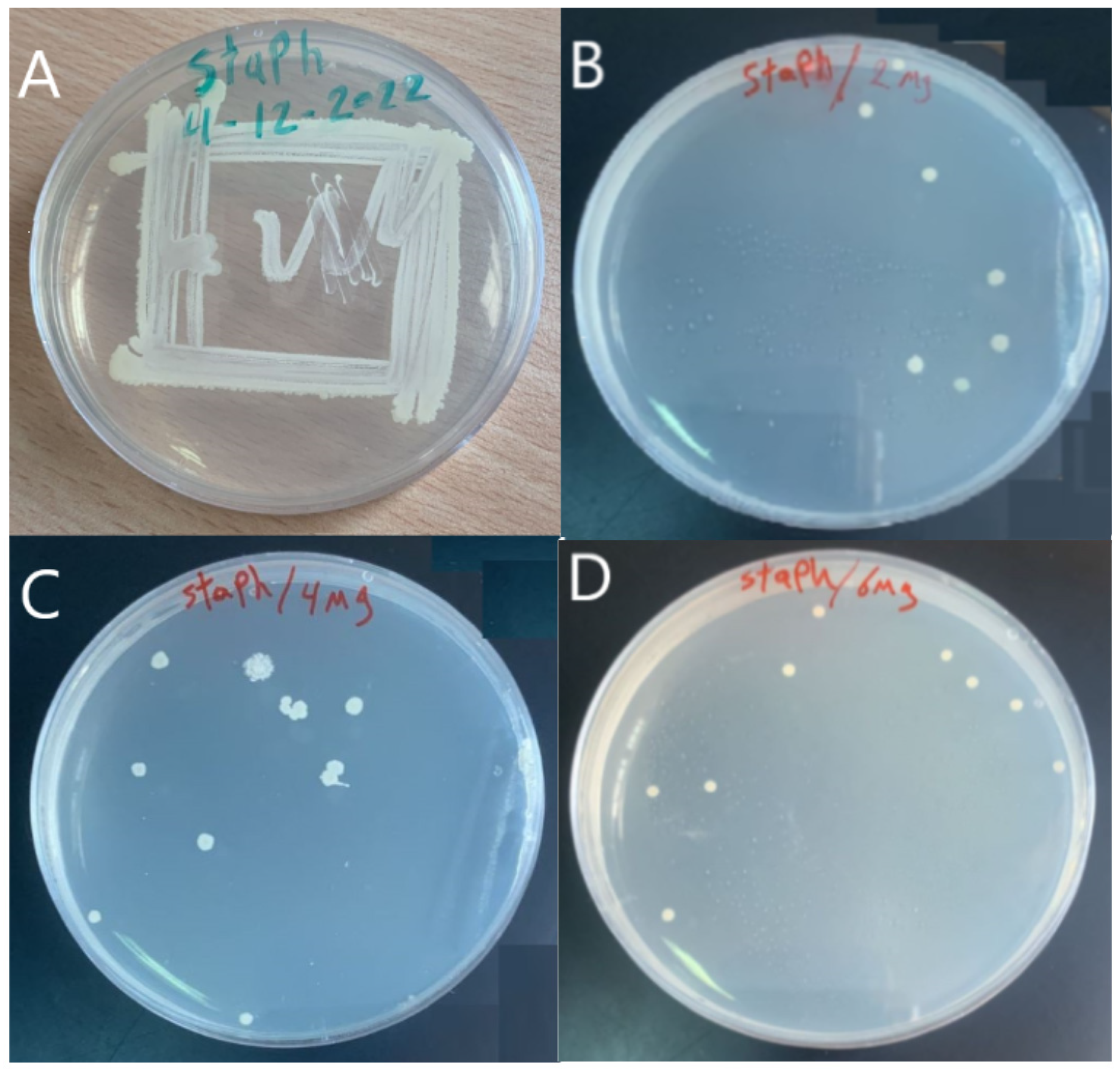 Membranes 13 00269 g006 Membranes 13 00269 g006
