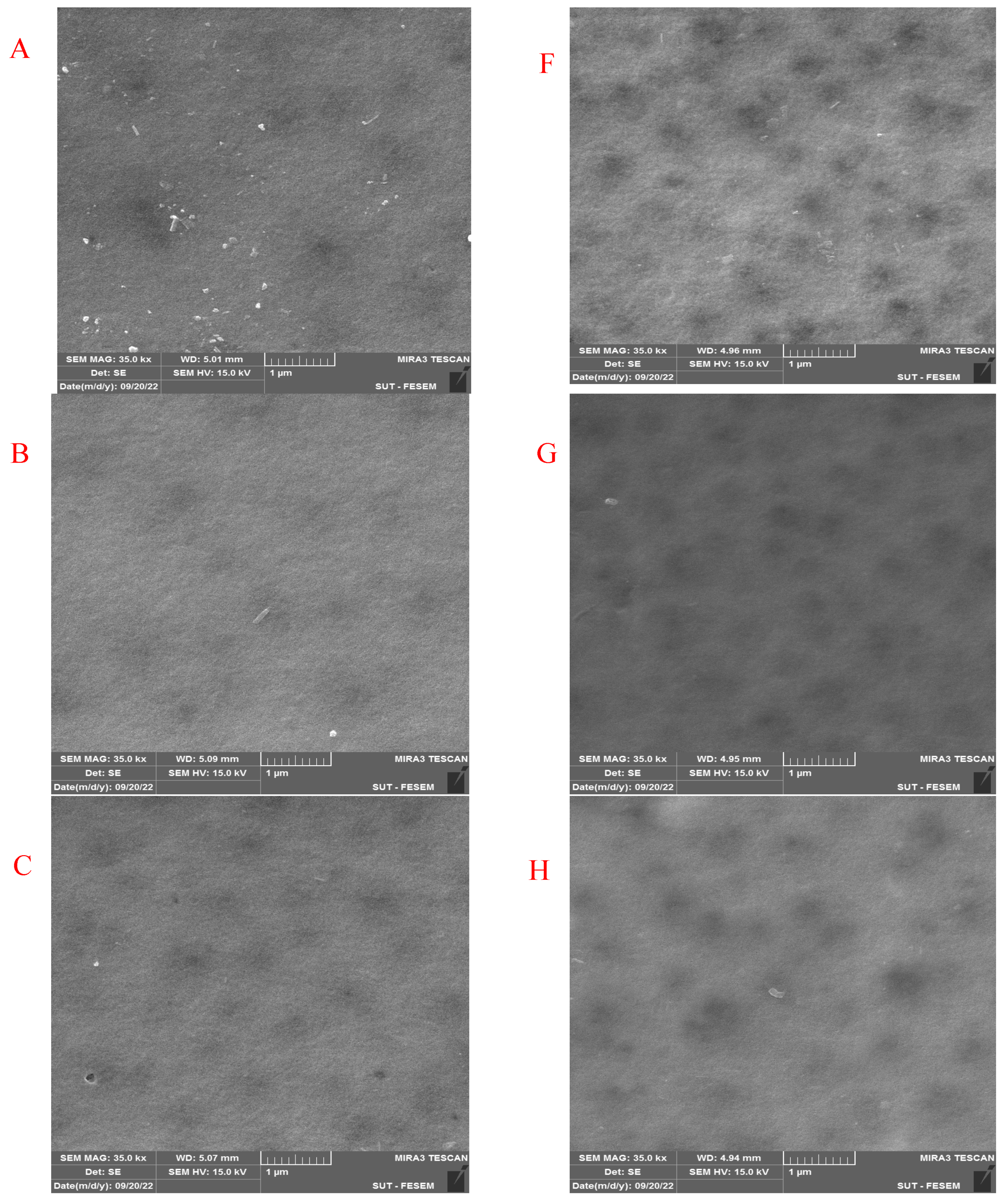 Membranes 13 00269 g007a Membranes 13 00269 g007a
