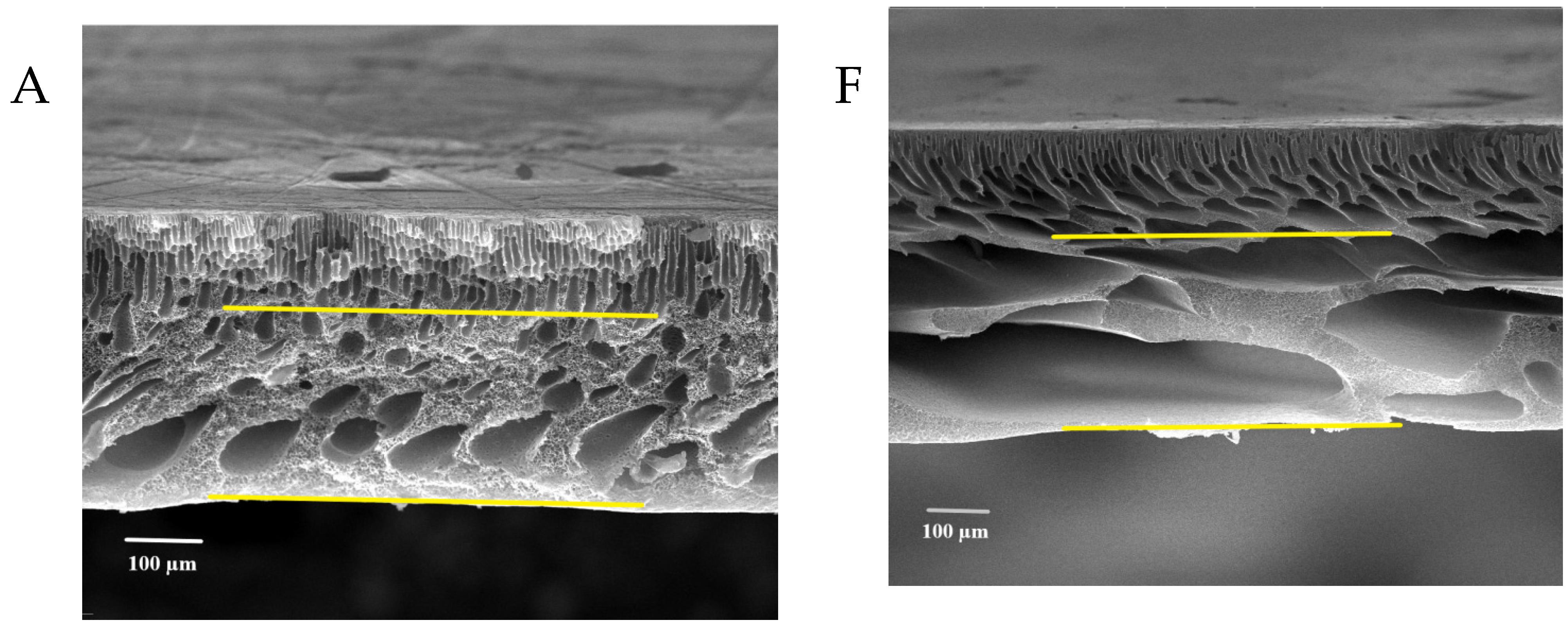 Membranes 13 00269 g008a Membranes 13 00269 g008a