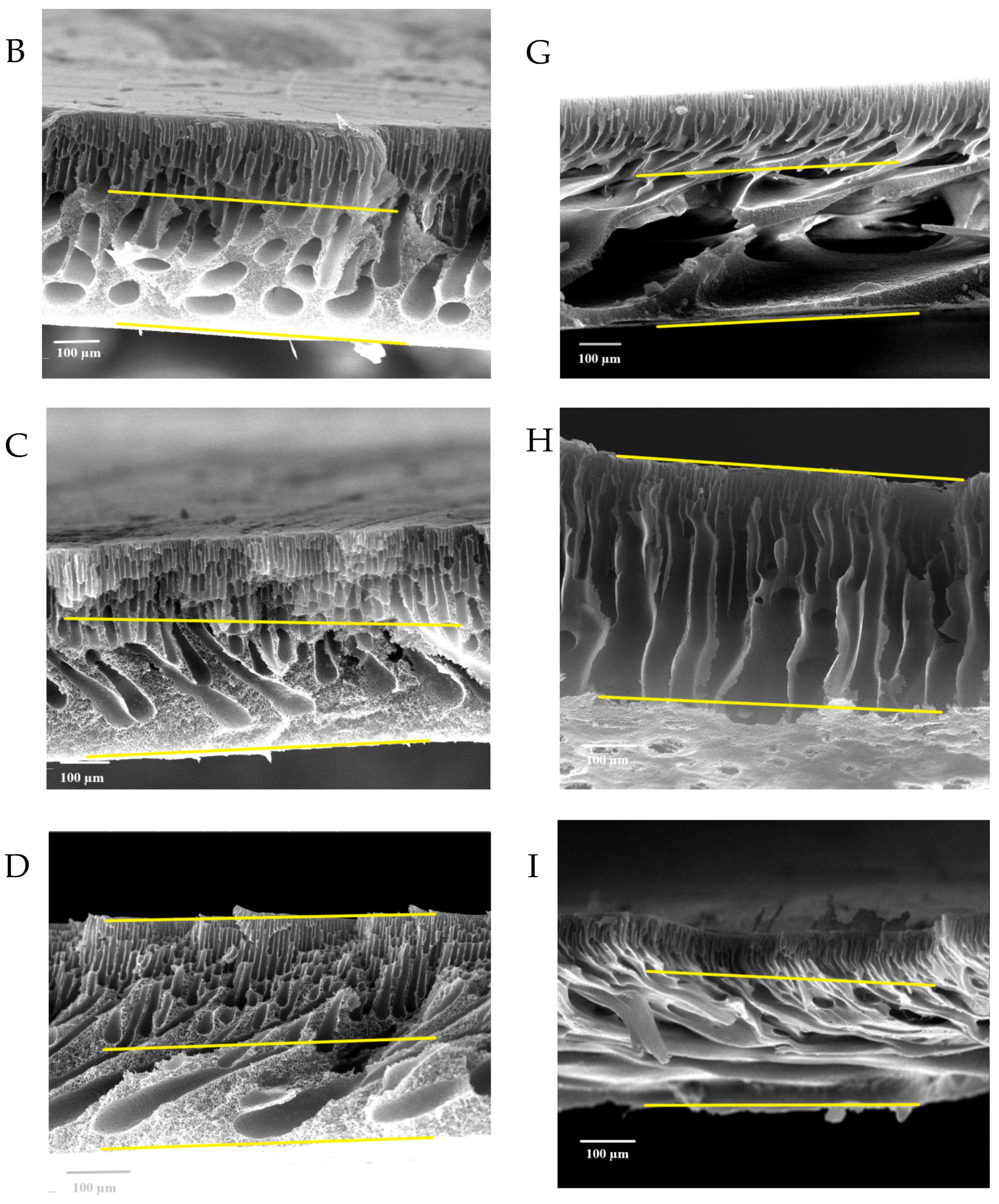 Membranes 13 00269 g008b Membranes 13 00269 g008b