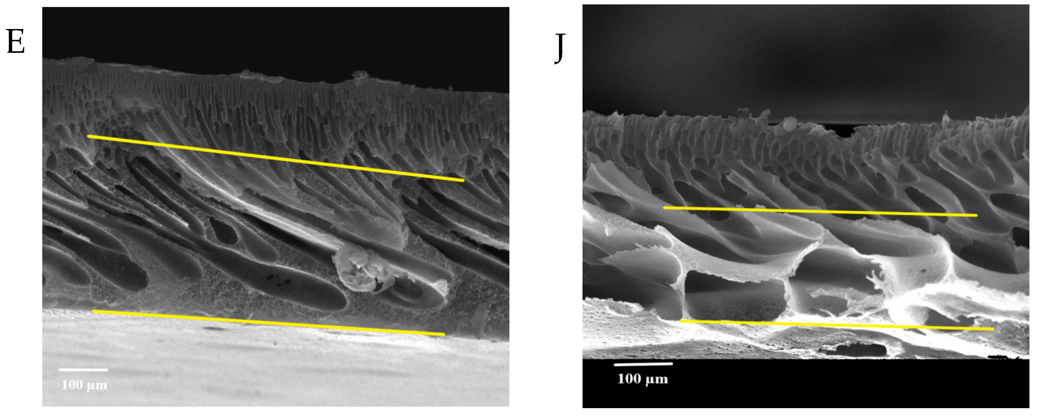 Membranes 13 00269 g008c Membranes 13 00269 g008c
