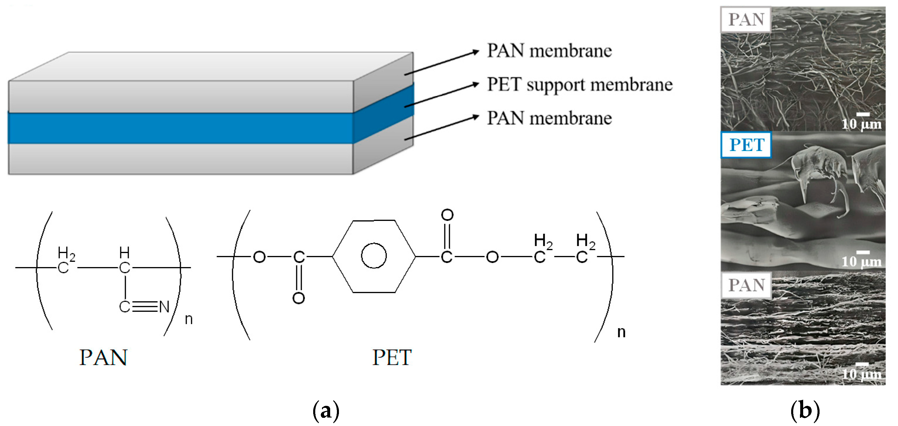 Membranes 13 00271 g001 Membranes 13 00271 g001