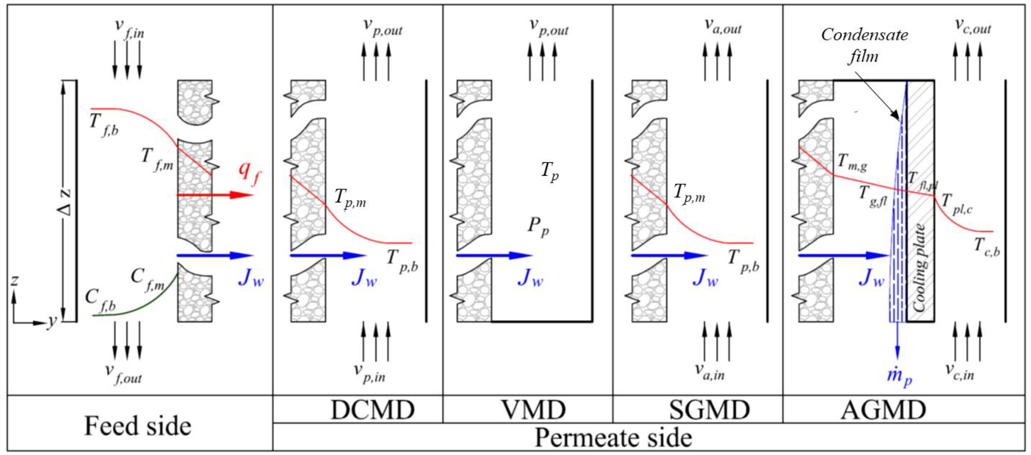 Membranes 13 00273 g001