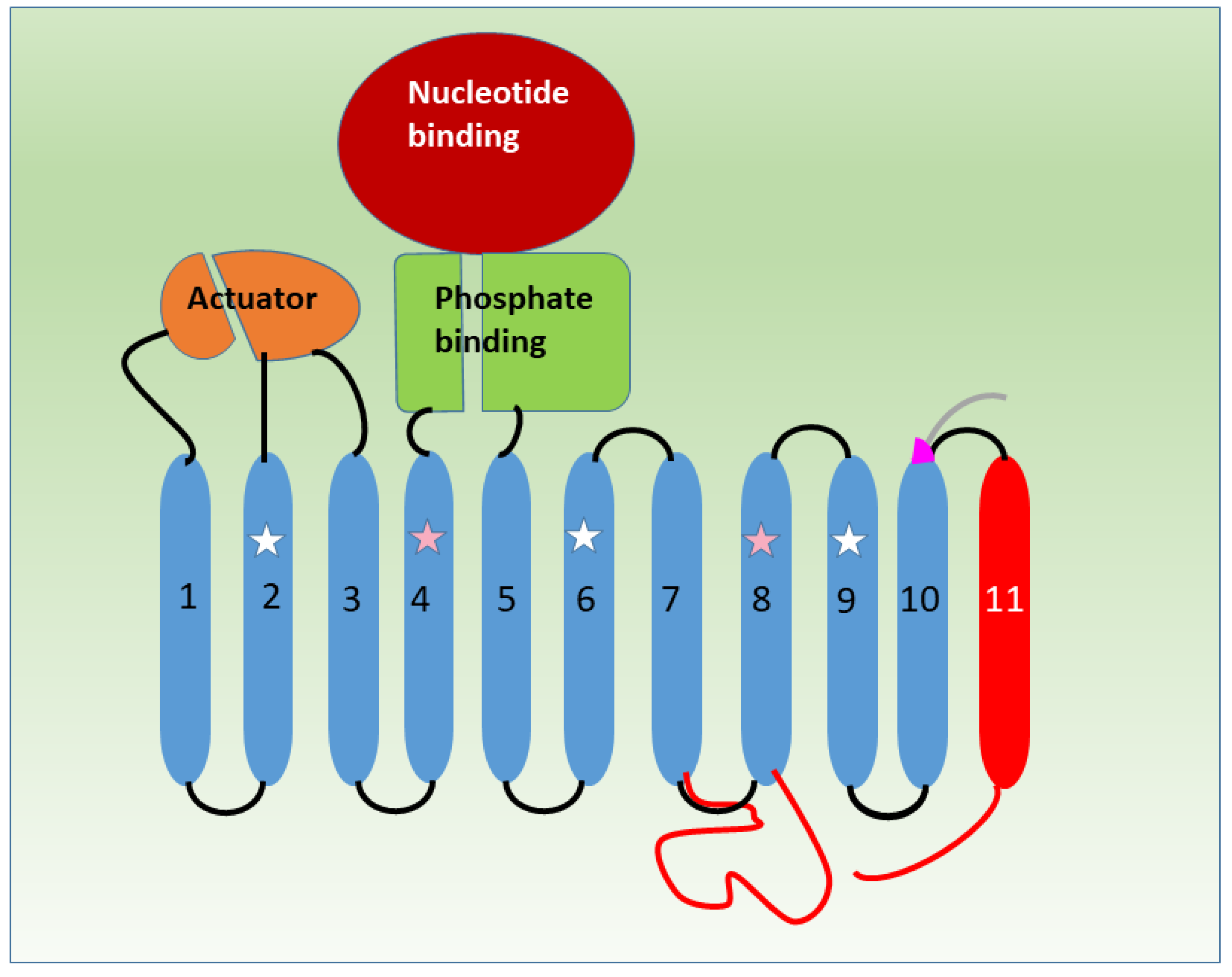 Membranes 13 00274 g001 Membranes 13 00274 g001