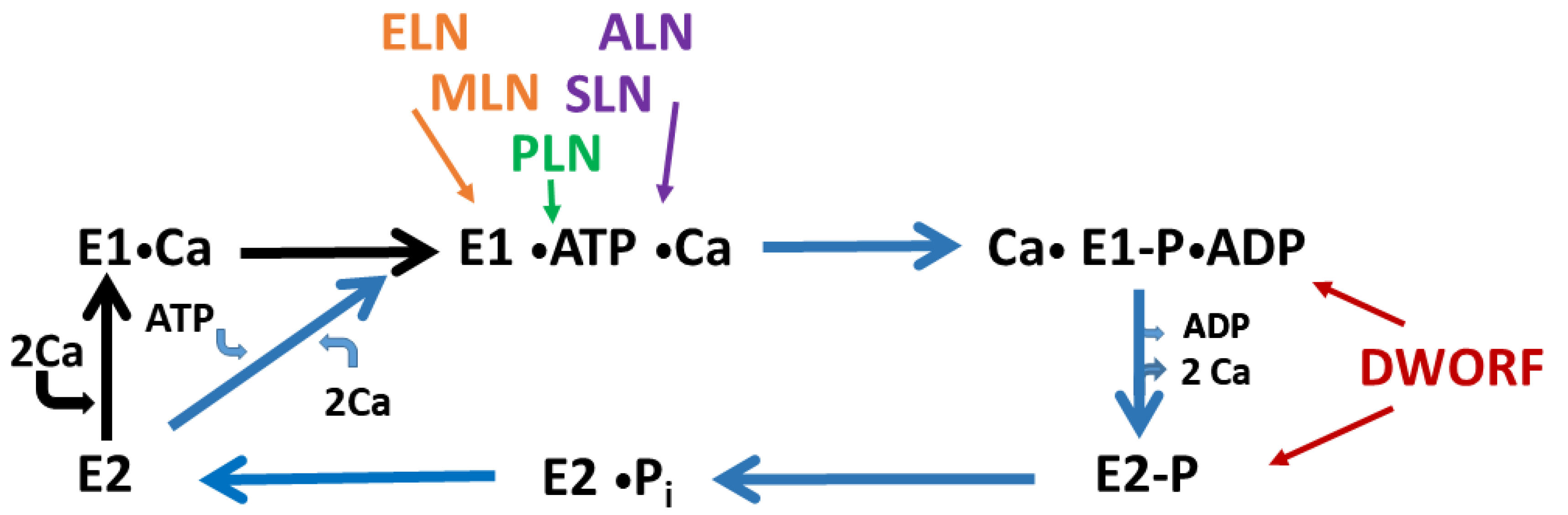 Membranes 13 00274 g003 Membranes 13 00274 g003
