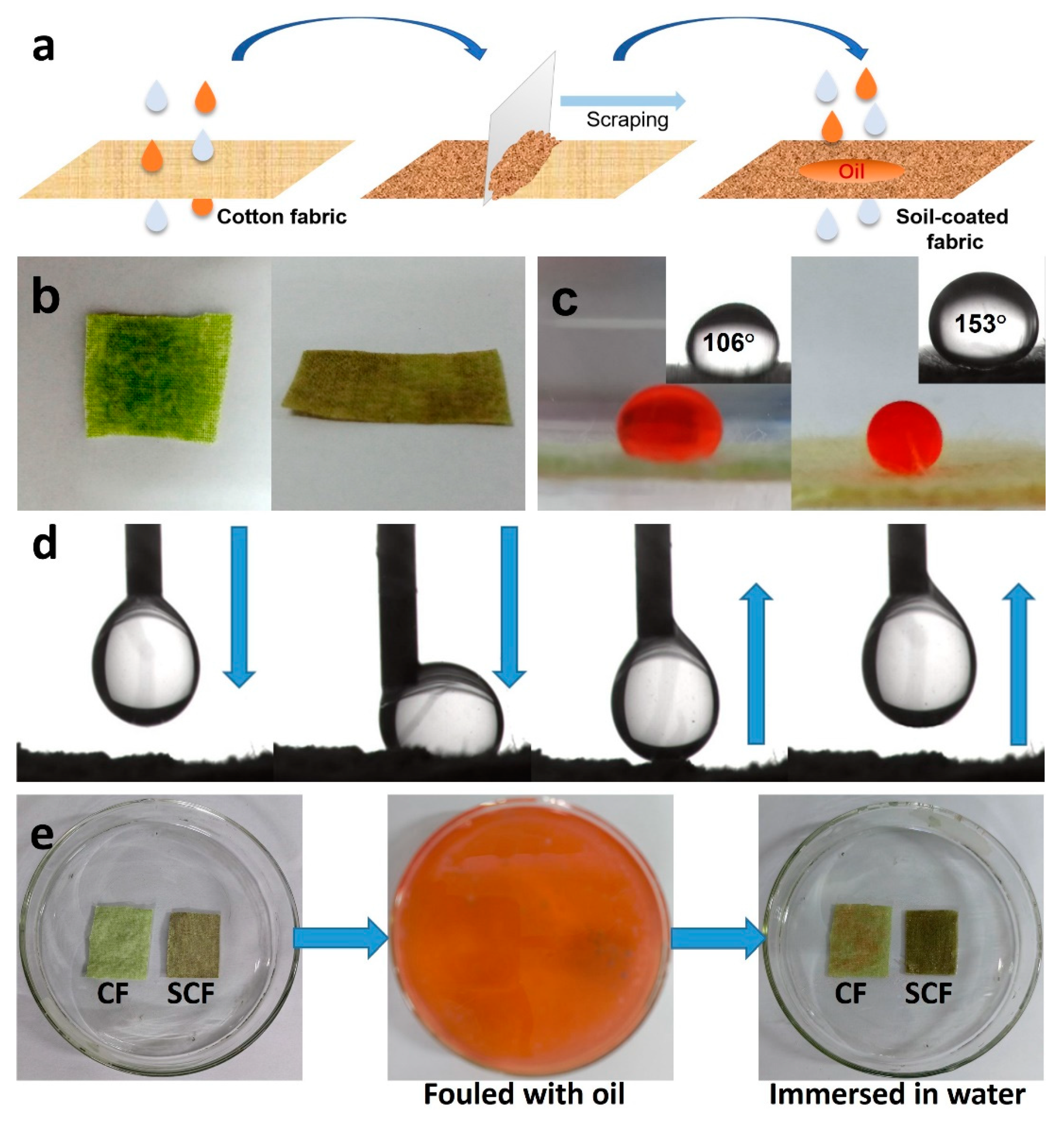 Membranes 13 00276 g001