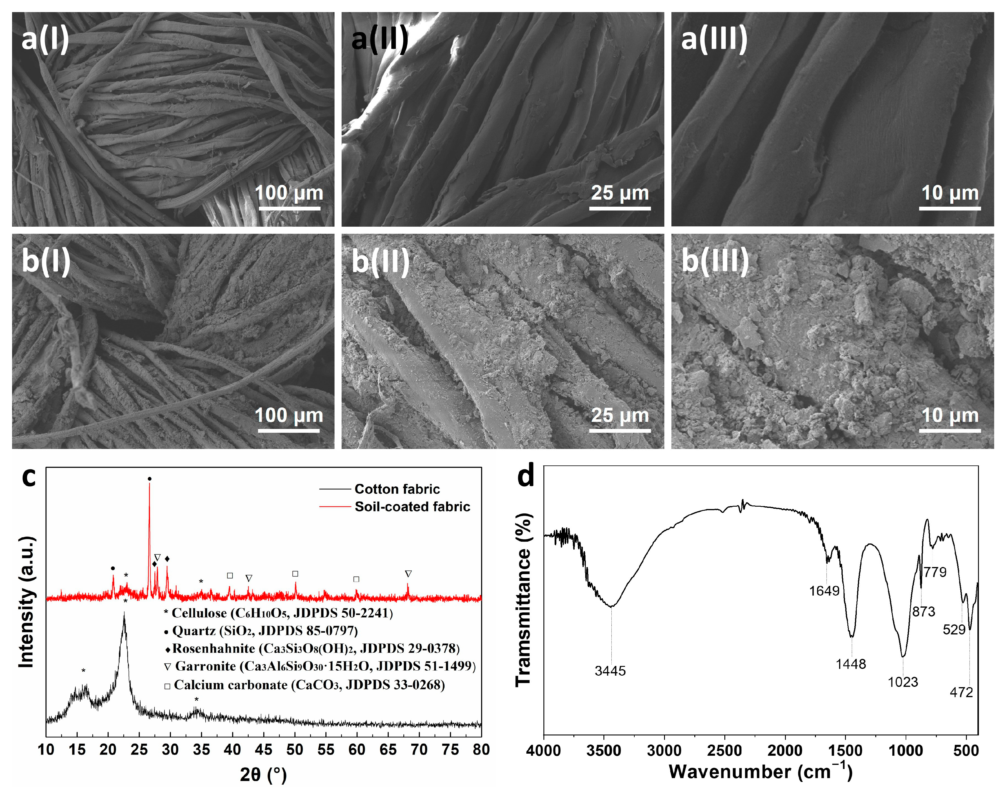 Membranes 13 00276 g002