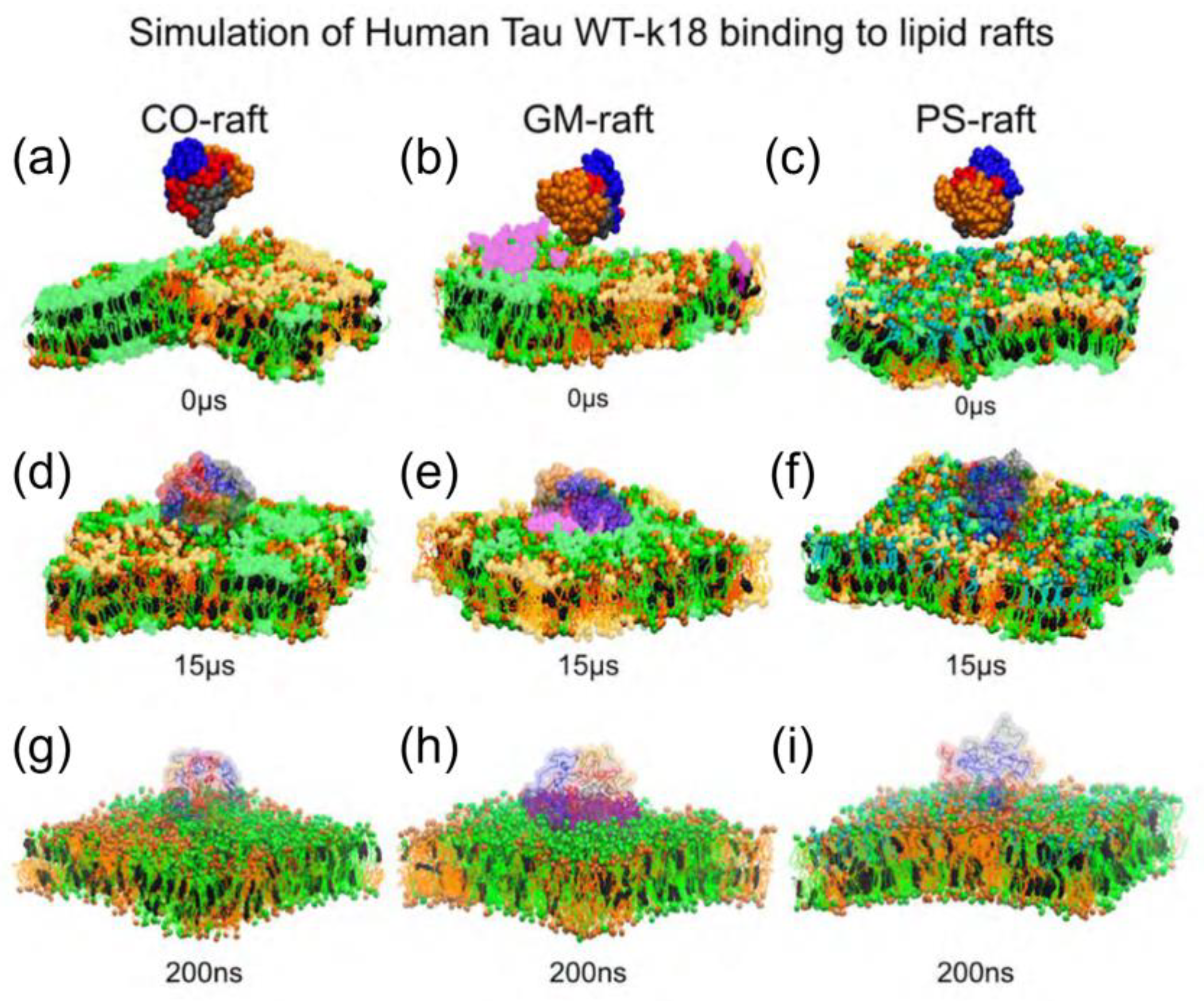 Membranes 13 00277 g009 Membranes 13 00277 g009