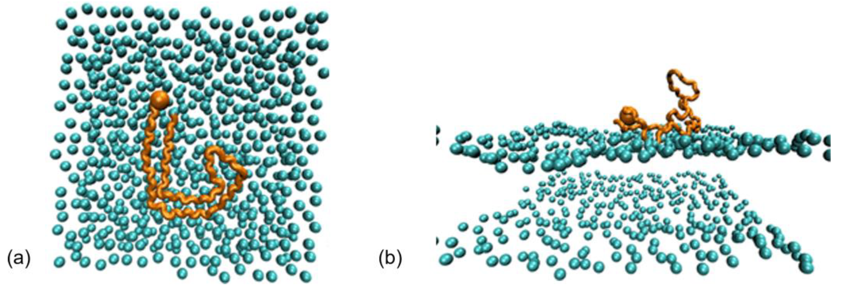 Membranes 13 00277 g010 Membranes 13 00277 g010
