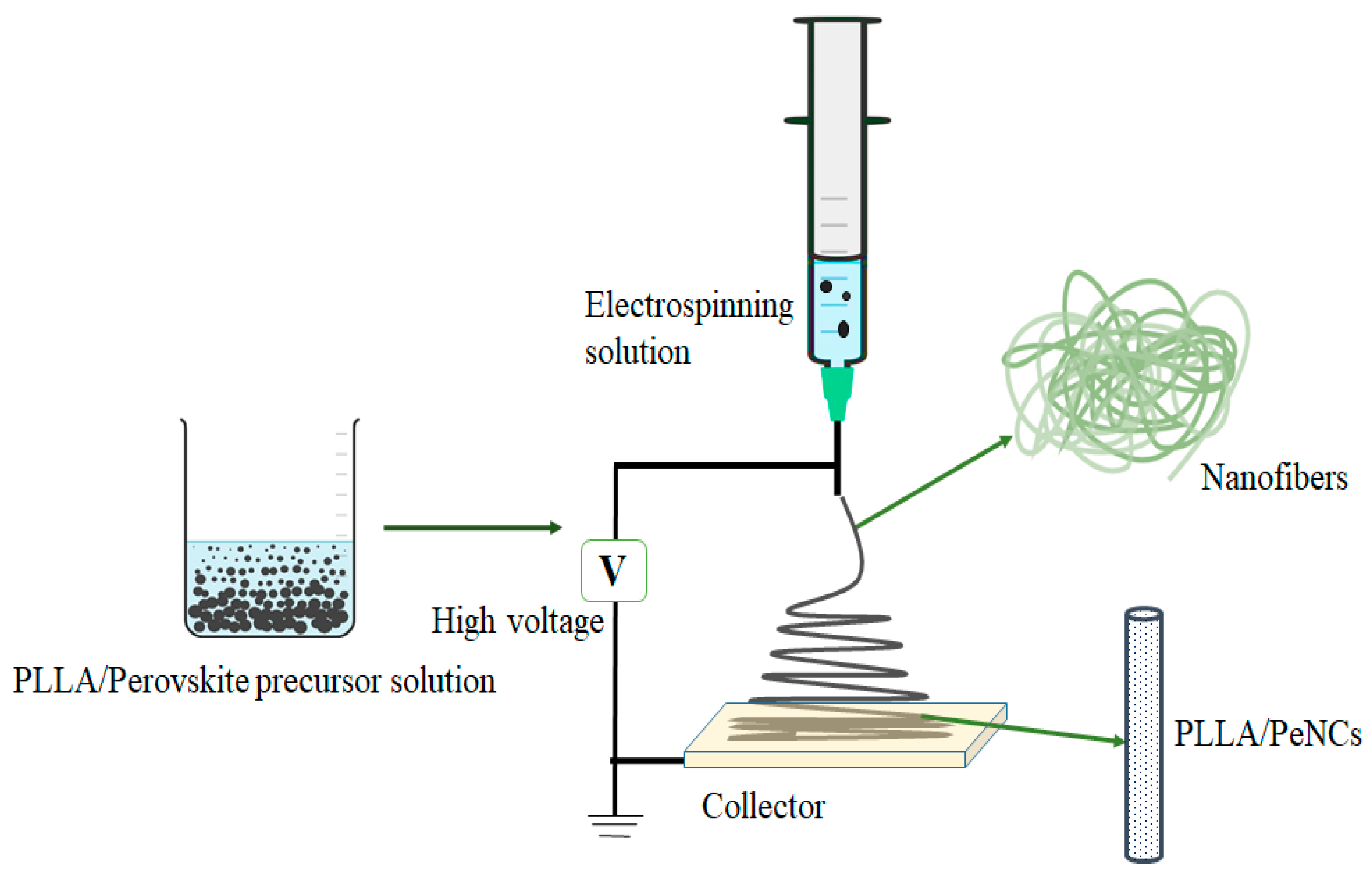 Membranes 13 00279 g001