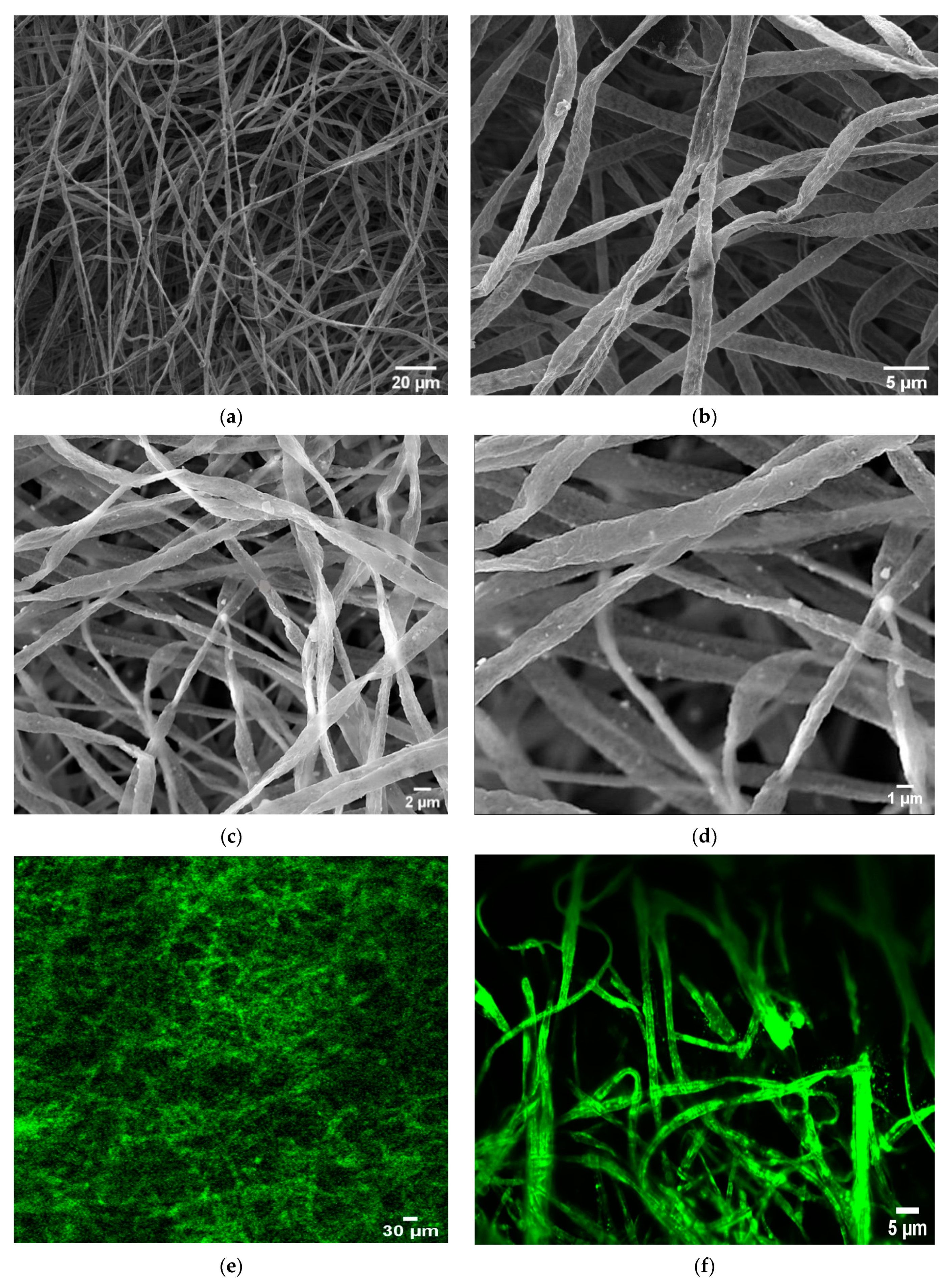 Membranes 13 00279 g002