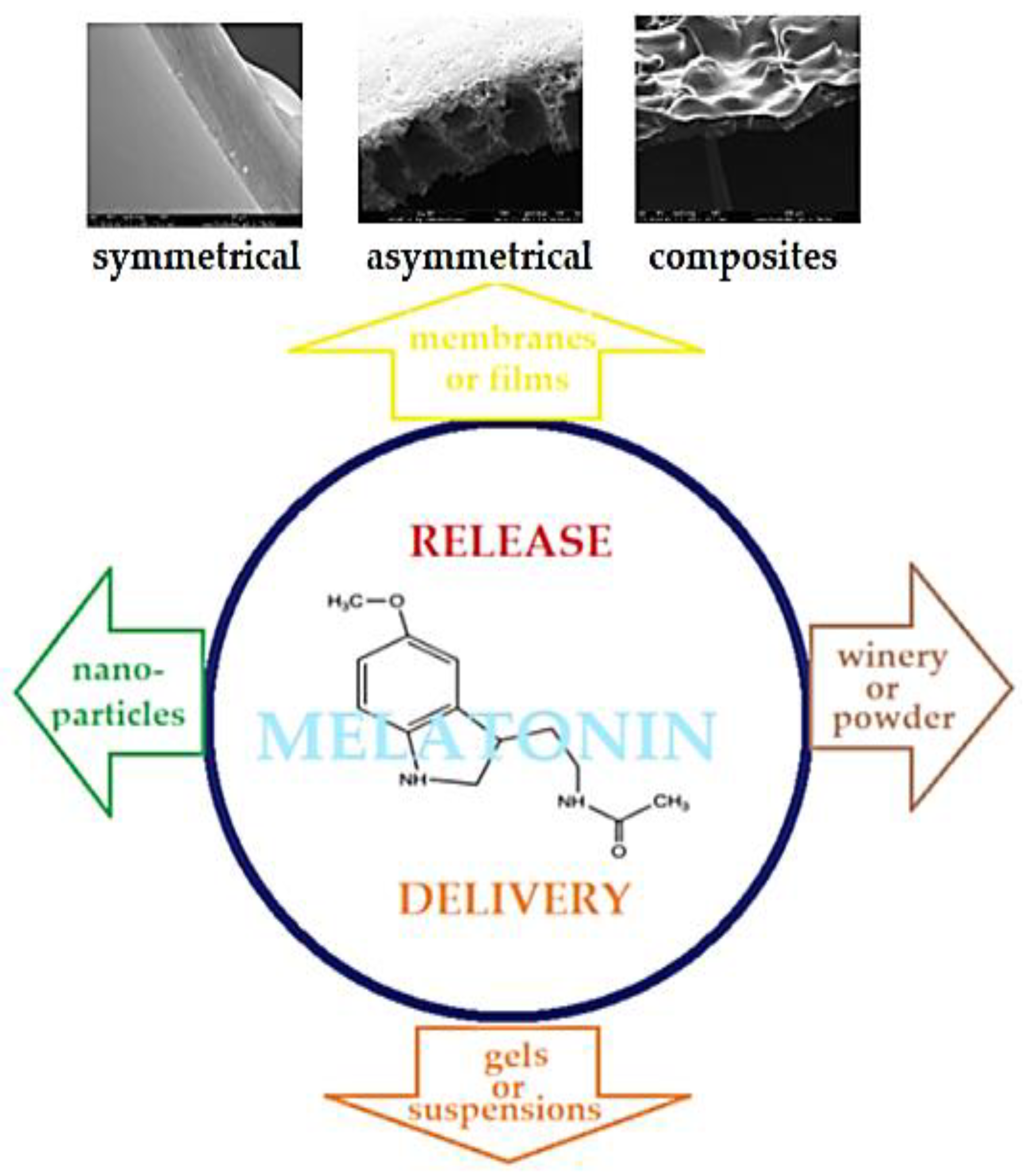Membranes 13 00282 g001 550