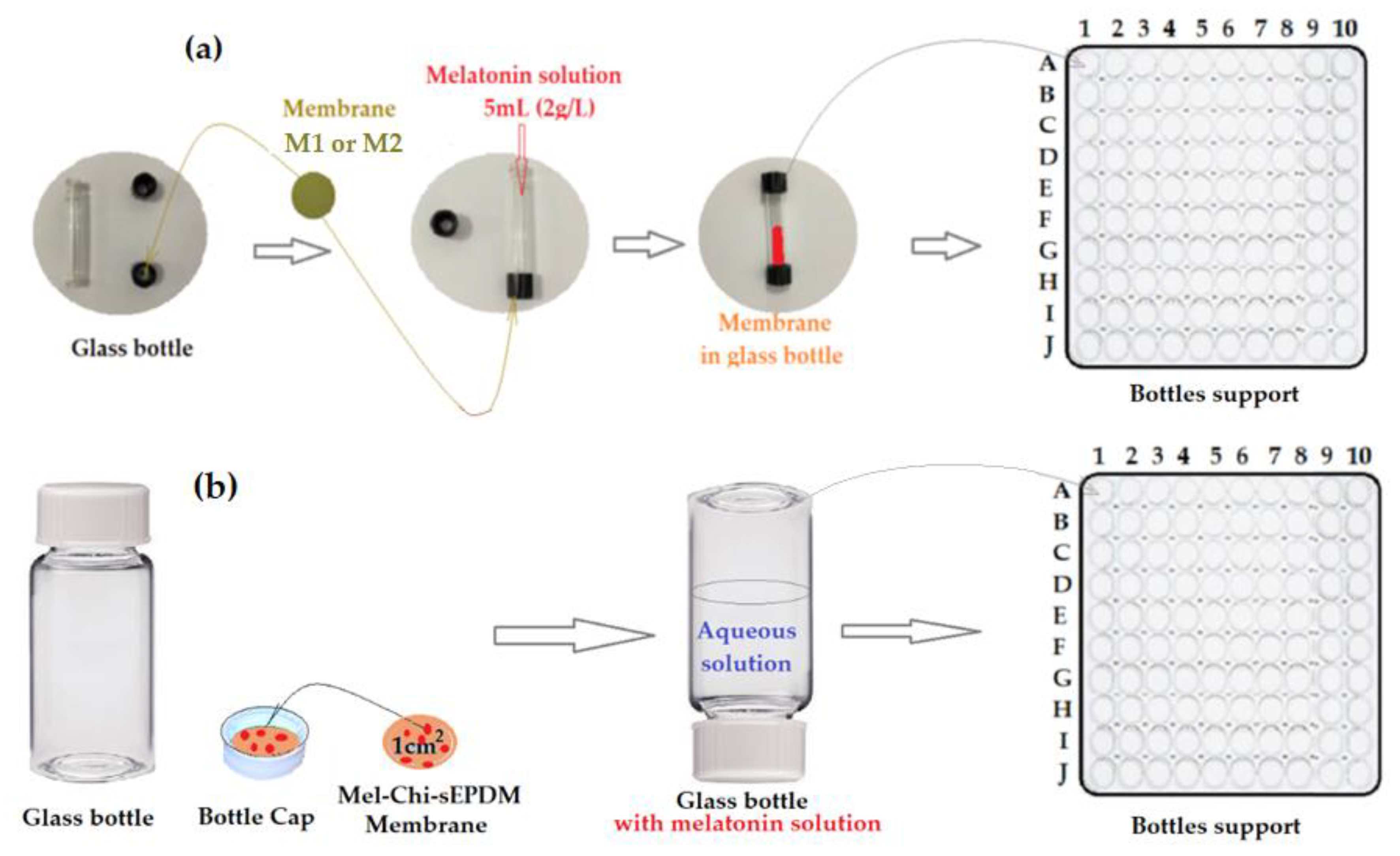 Membranes 13 00282 g004 550