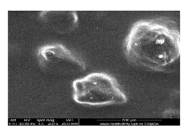 Membranes 13 00282 i007