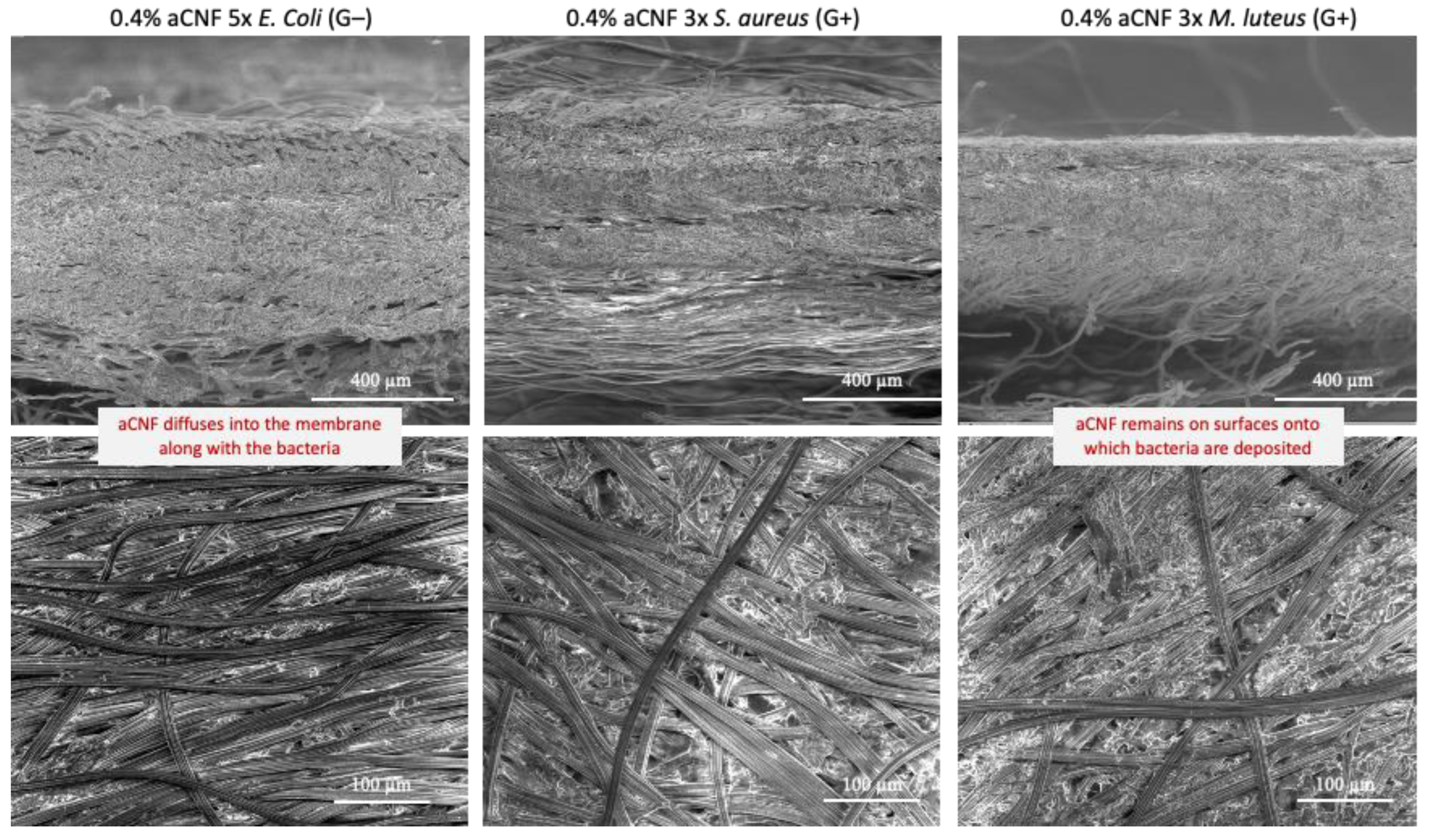 Membranes 13 00284 g007 Membranes 13 00284 g007