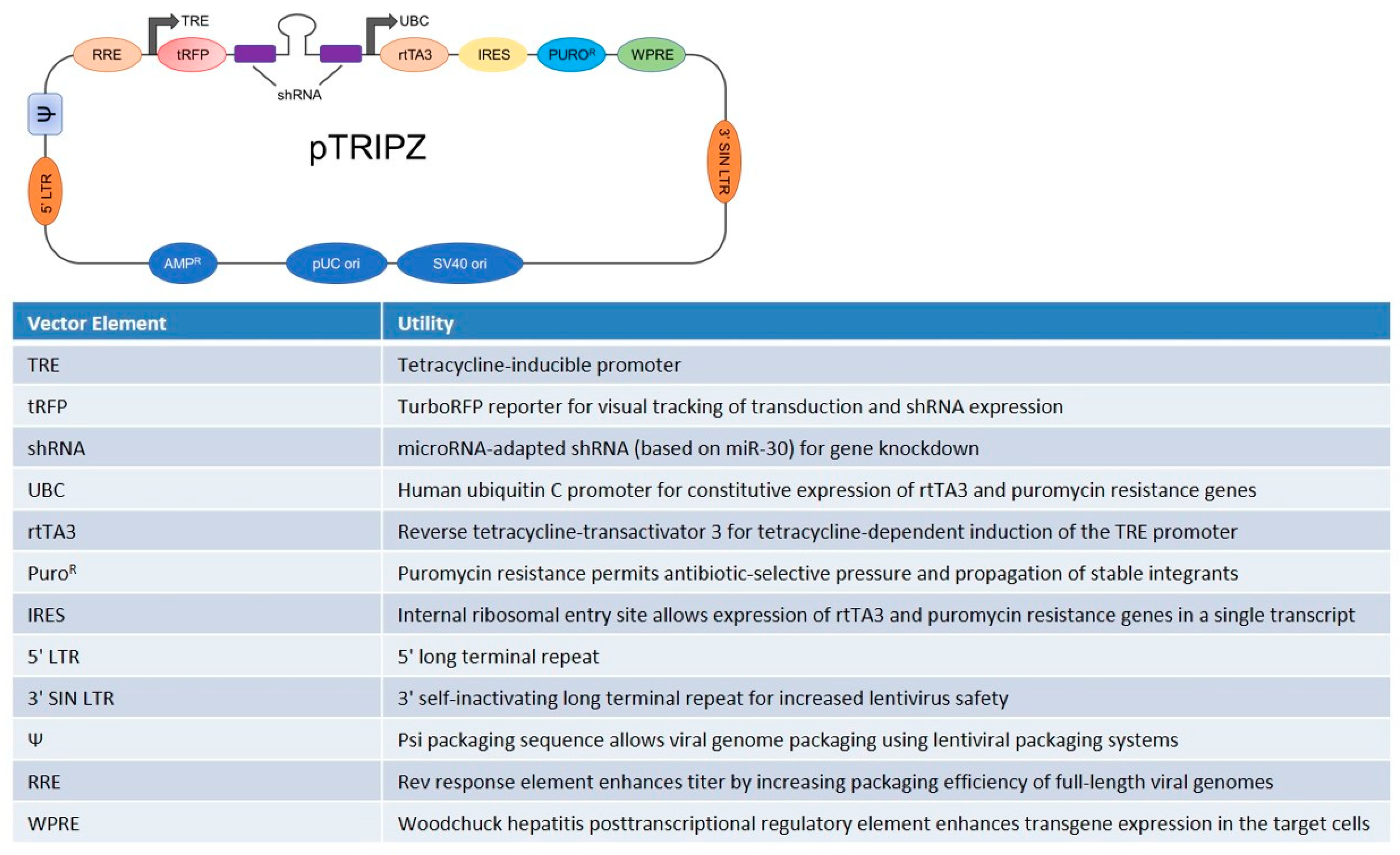 Membranes 13 00286 g001