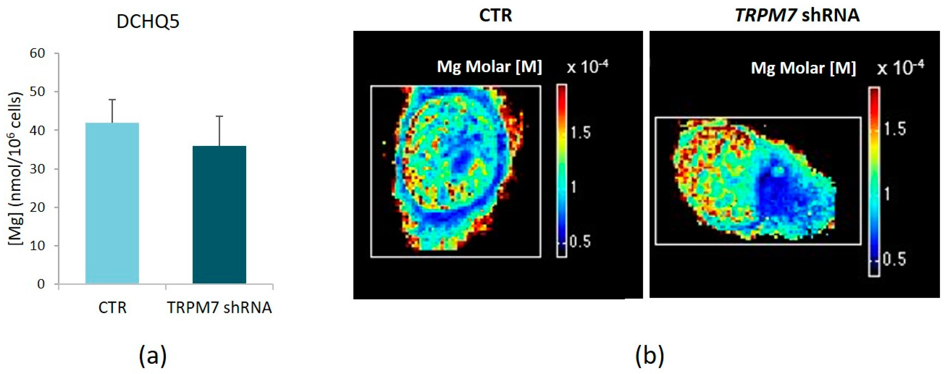 Membranes 13 00286 g006