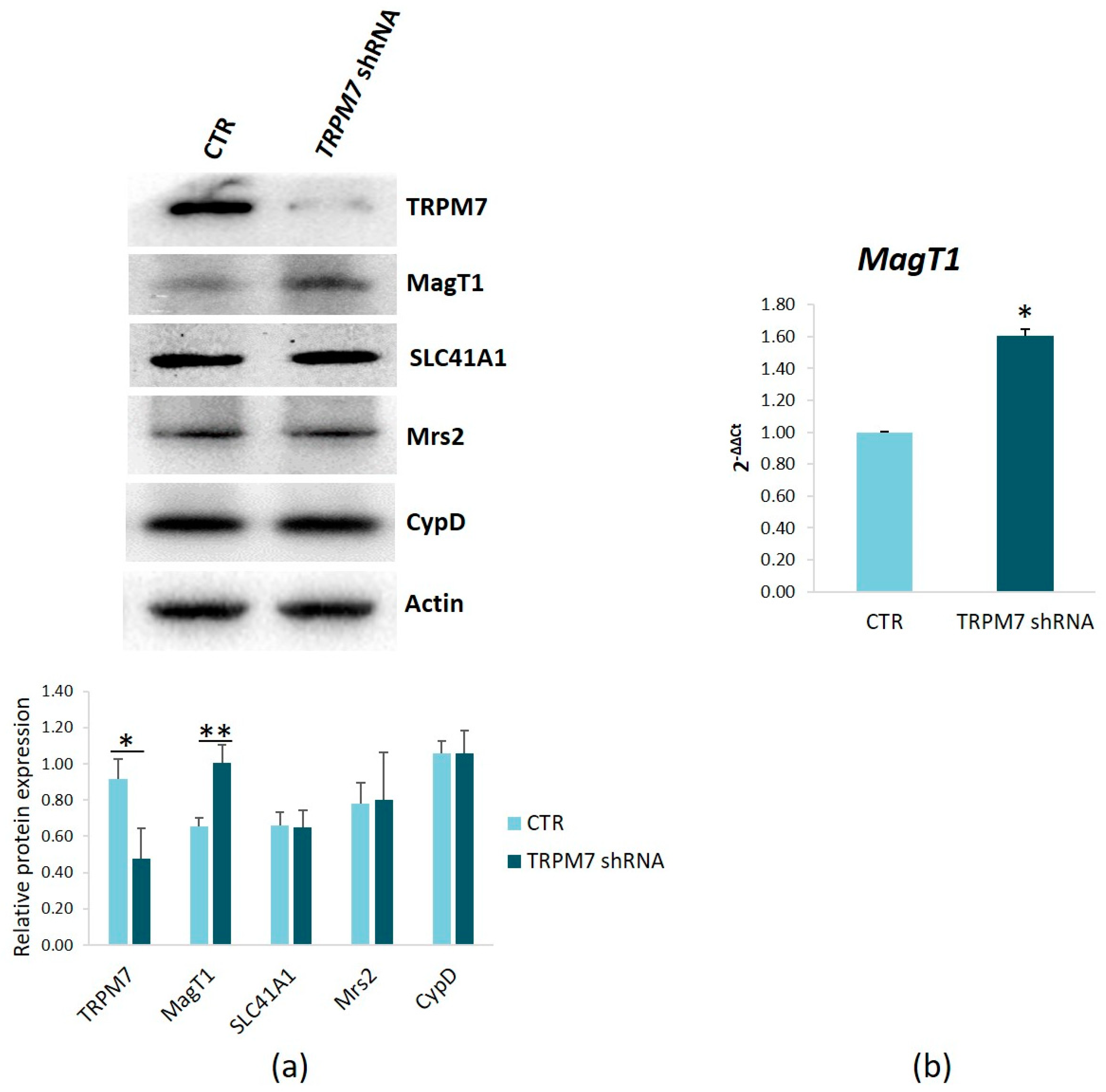 Membranes 13 00286 g007