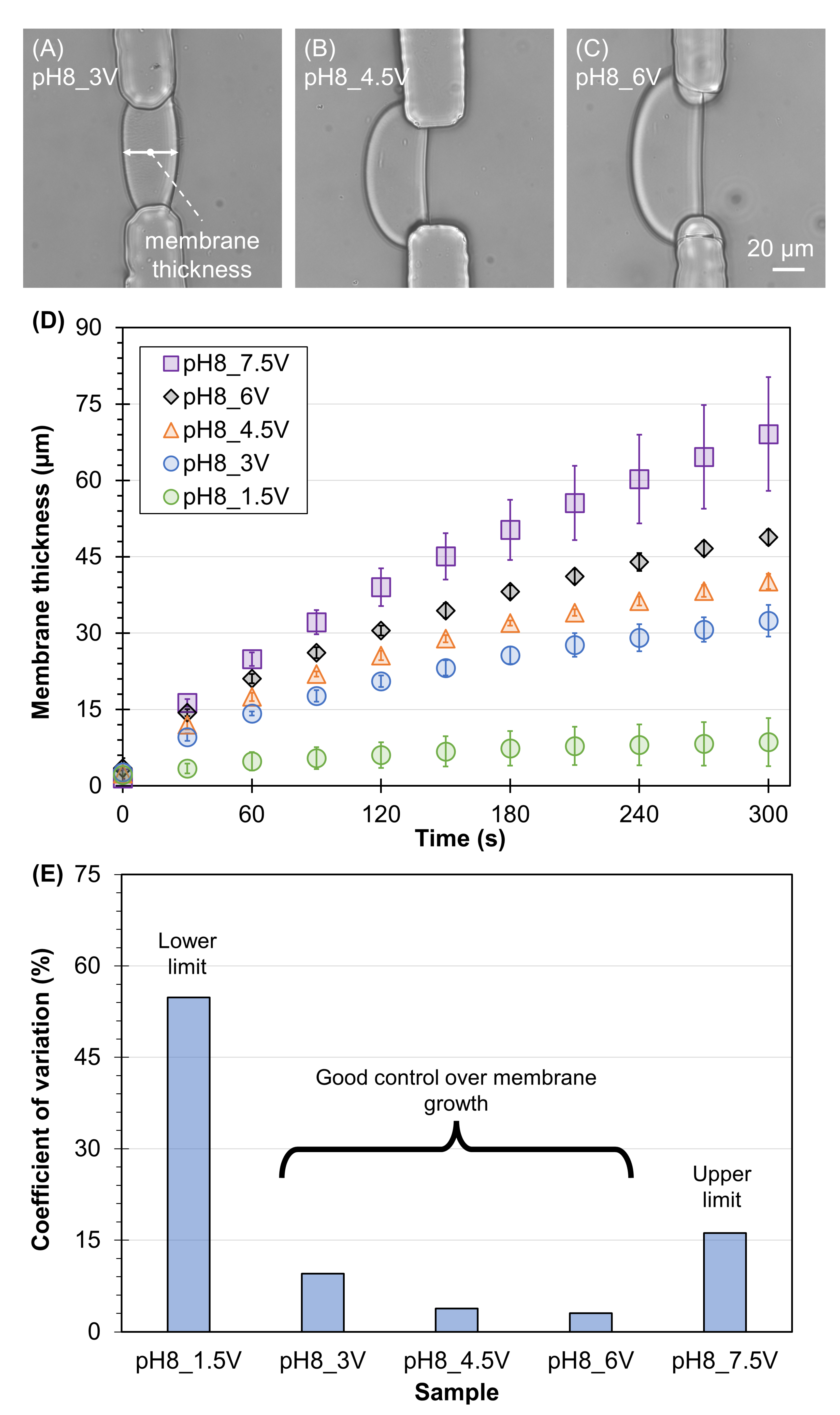 Membranes 13 00294 g002