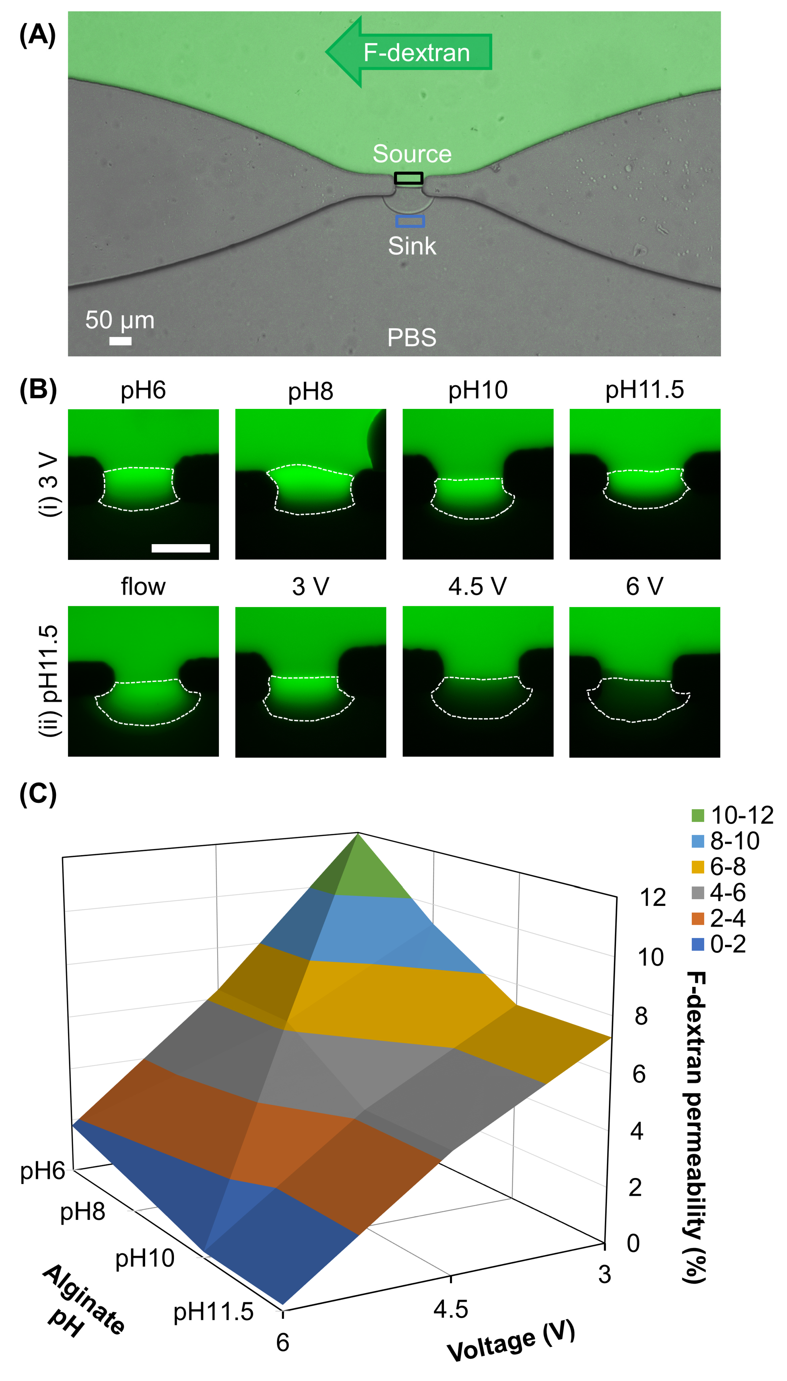 Membranes 13 00294 g004