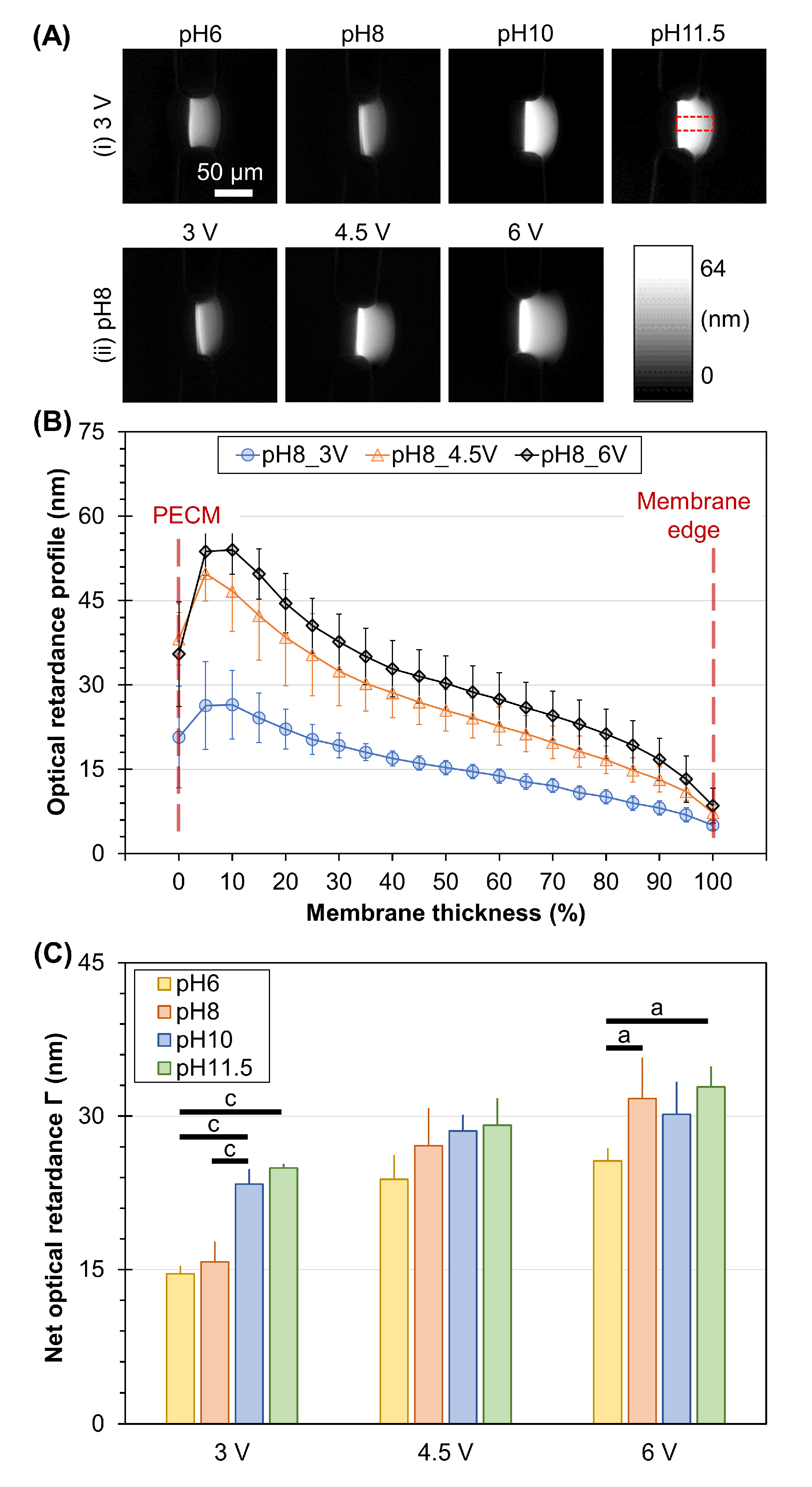 Membranes 13 00294 g005