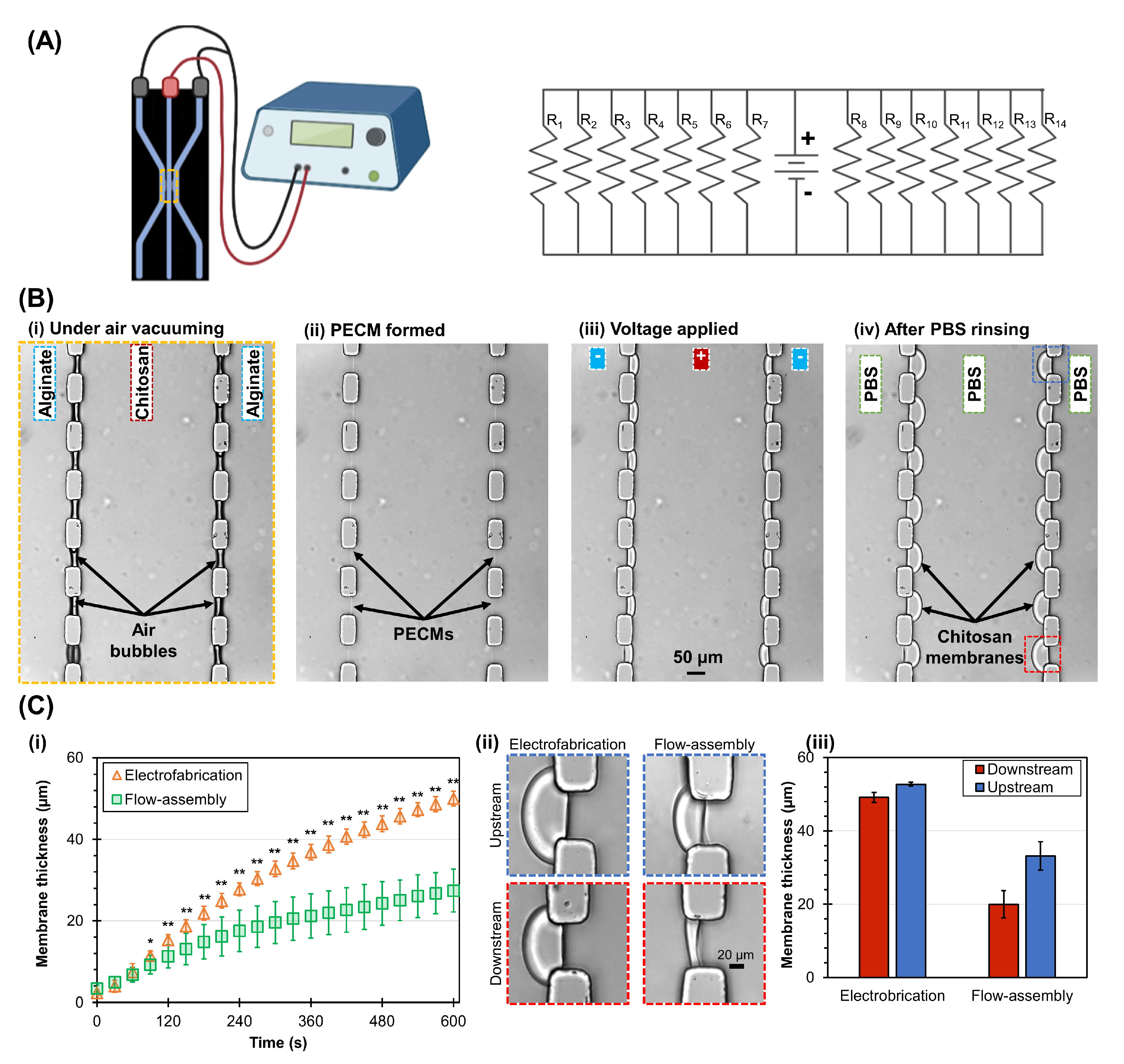 Membranes 13 00294 g008