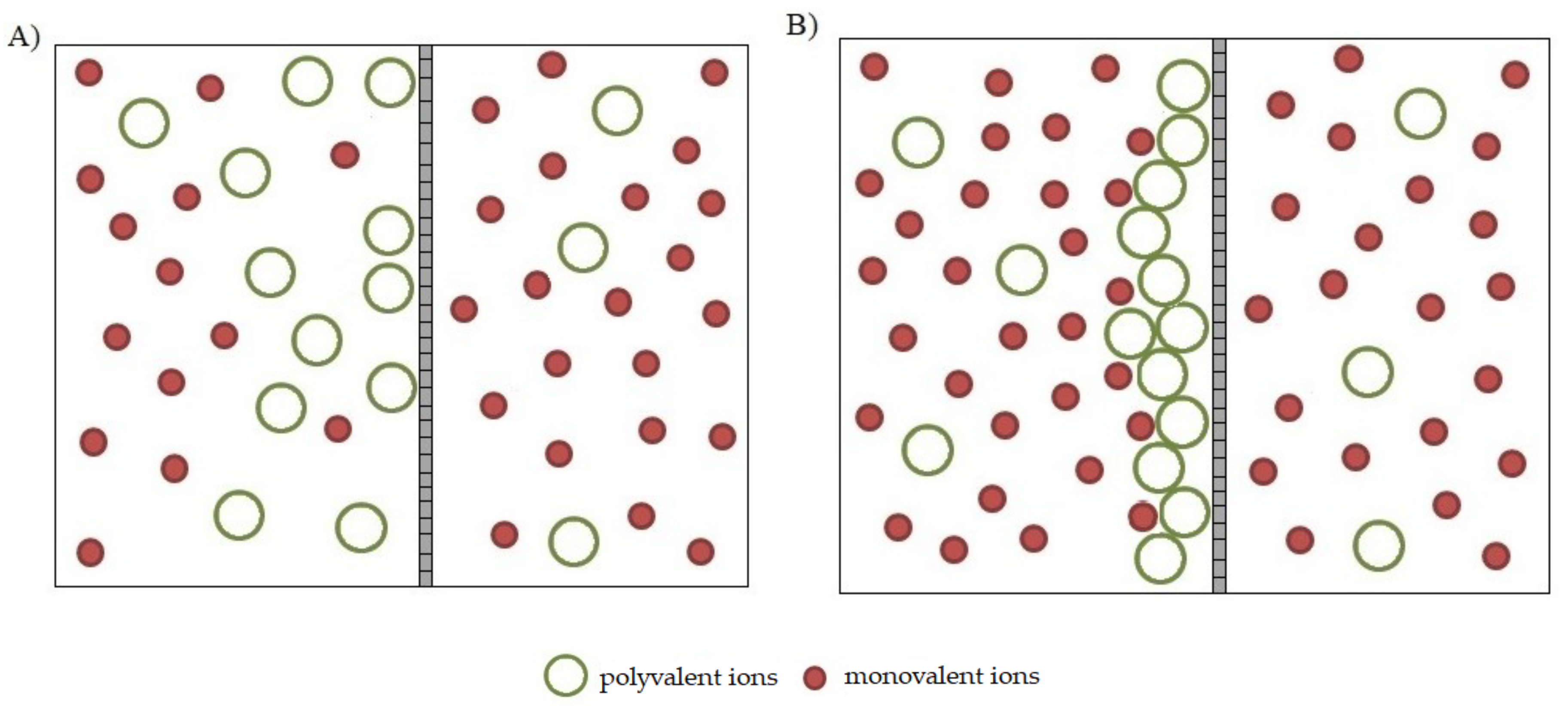 Membranes 13 00295 g006