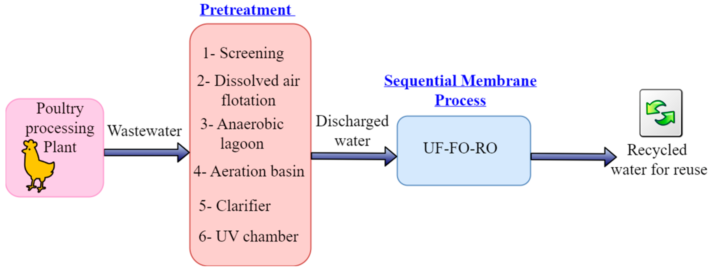 Membranes 13 00296 g001