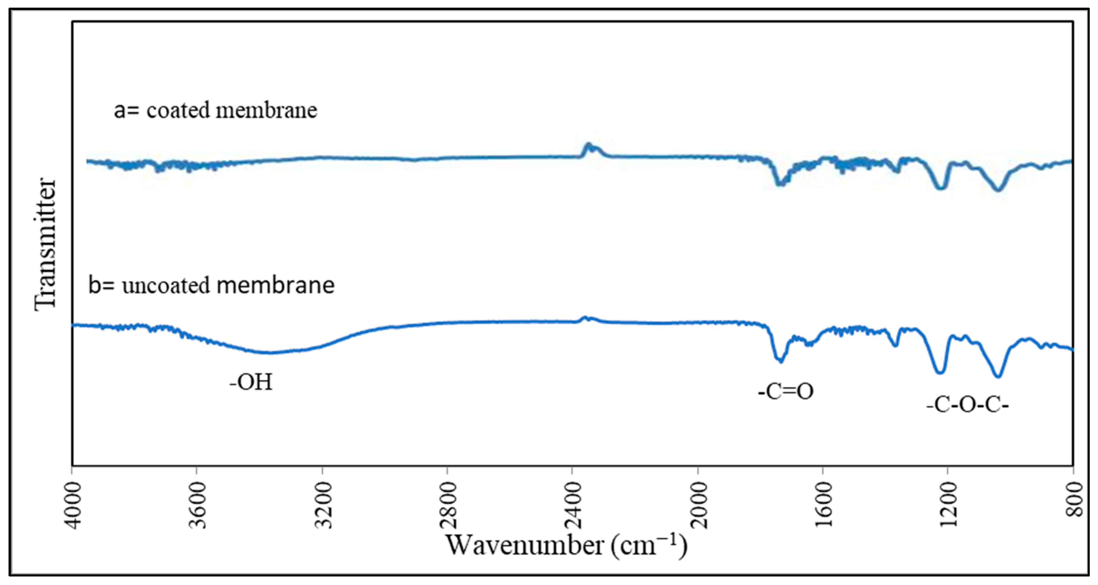 Membranes 13 00296 g005