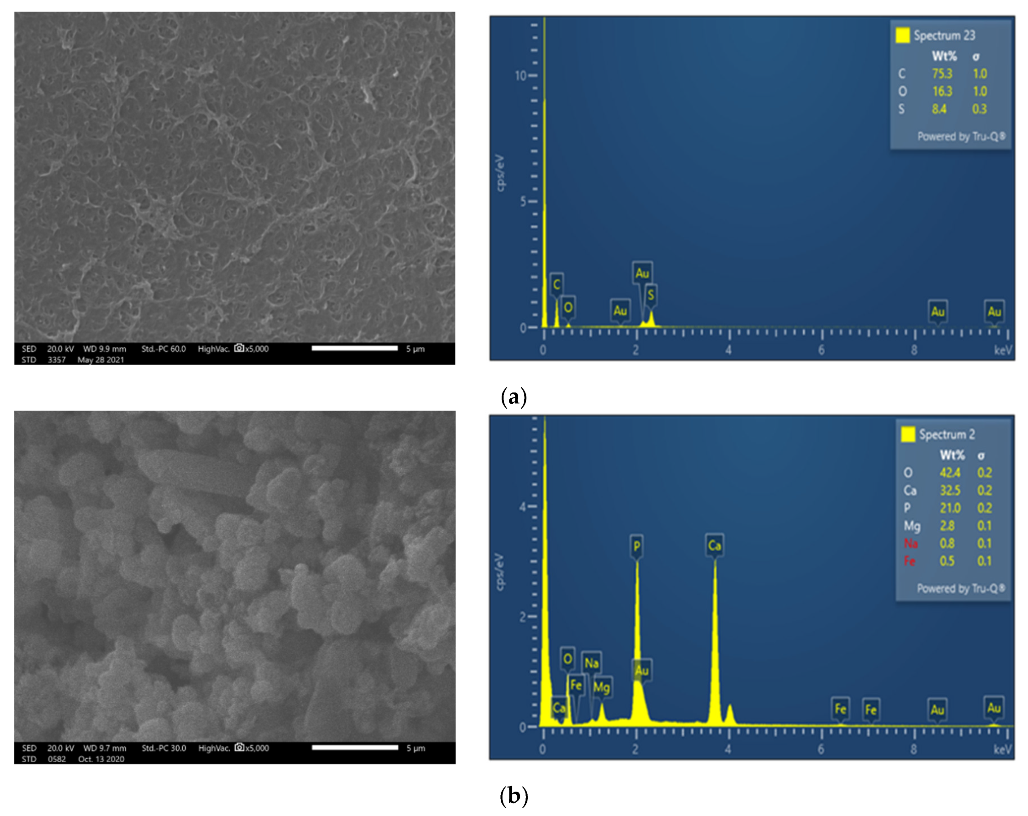Membranes 13 00297 g005a Membranes 13 00297 g005a